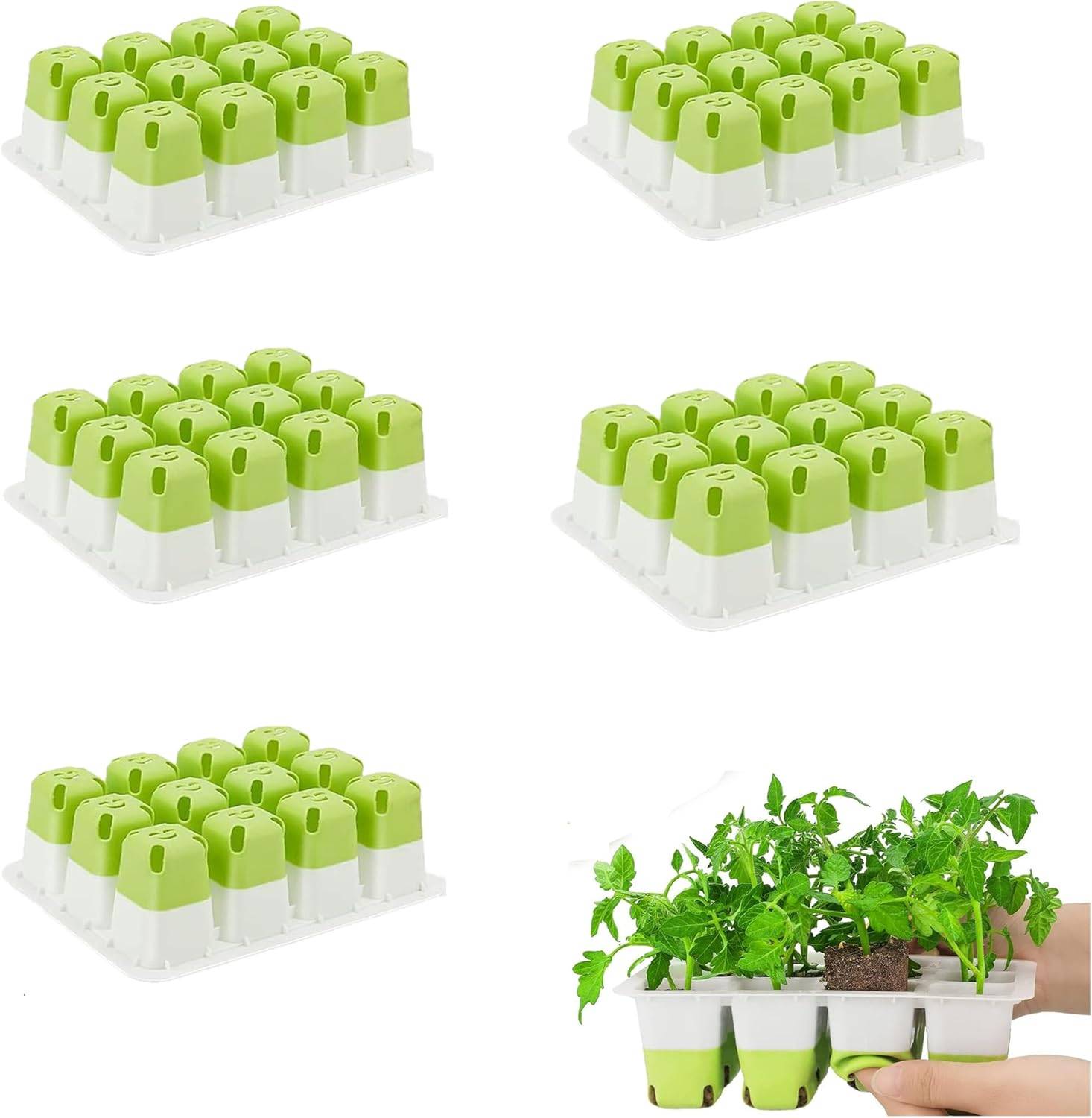 Plateau de Semis 12 Cases en Silicone - Pour Germination Facile-Living123