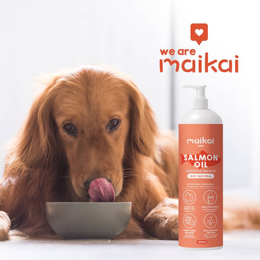 Huile de Saumon pour Chien et Chat - 250ml - 100% Naturel - Riche en Omega 3 et 6 - MAIKAI - Image 6