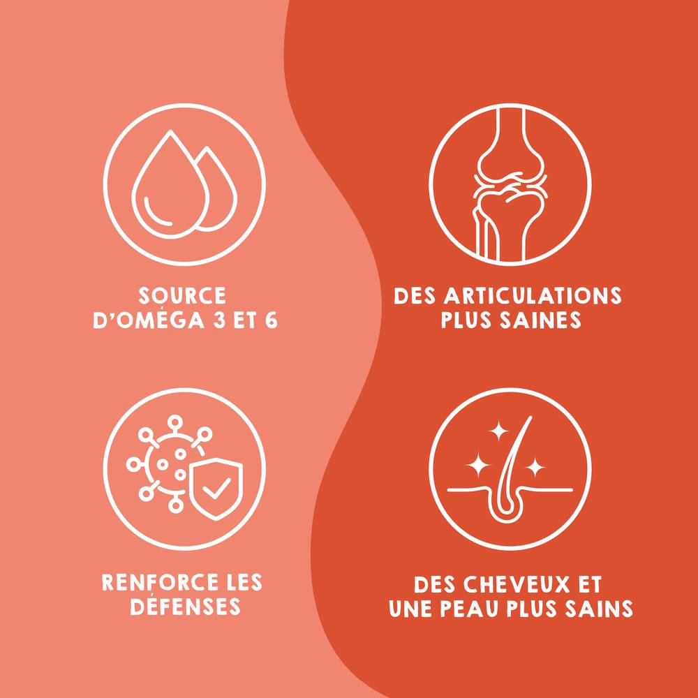 Huile de Saumon pour Chien et Chat - 250ml - 100% Naturel - Riche en Omega 3 et 6 - MAIKAI - Image 5