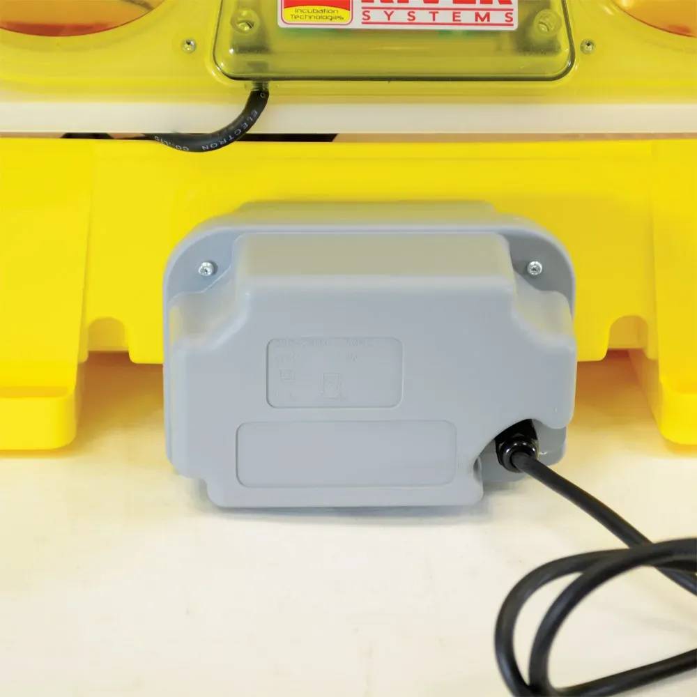 Couveuse 12 Biomaster + Nebula – Pack 12 œufs River Systems - Image 8