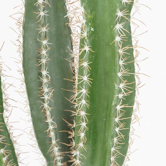 Ligne Deco - Cactus artificiel grande taille 3 troncs 155cm - Image 3