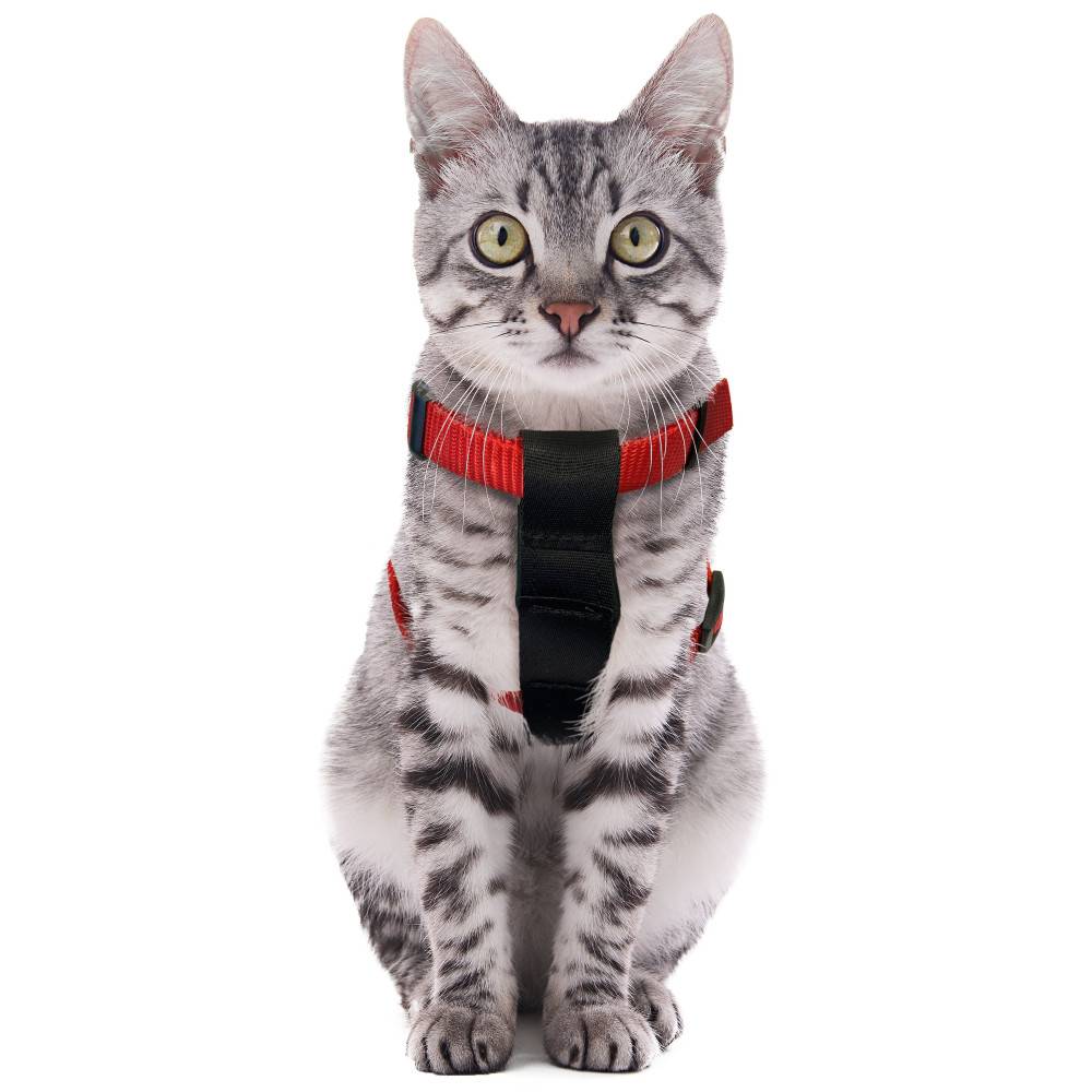 Flamingo - Harnais de Sécurité voiture + laisse Rouge 15 mm pour Chat - Image 7