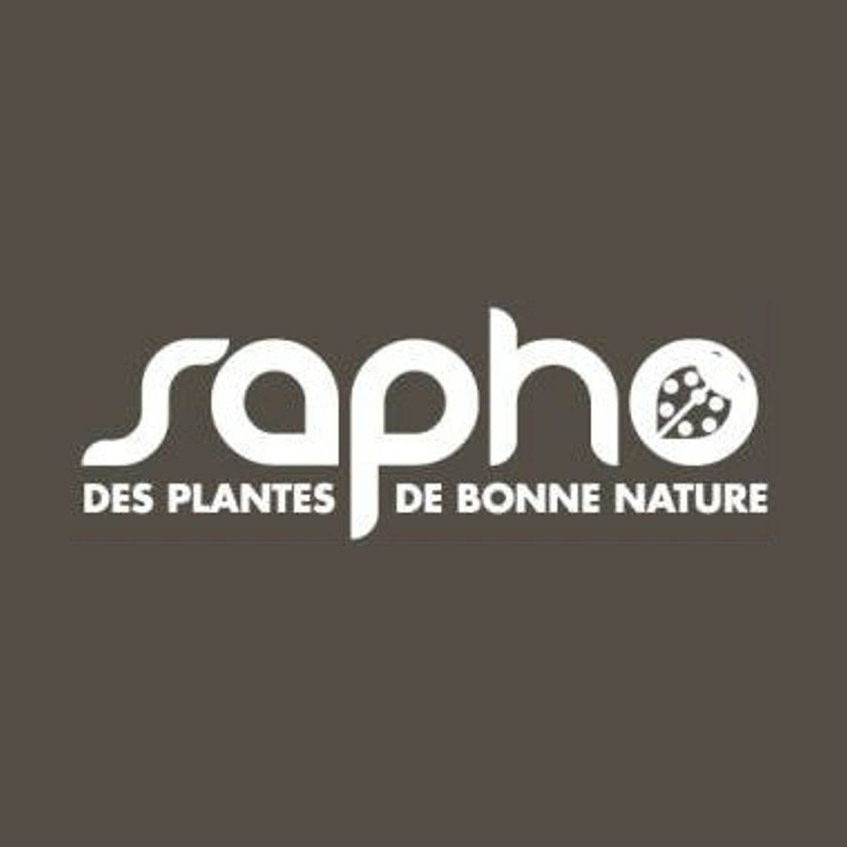 Baie de Goji Princess Tao® 'Fpw03' à fleurs Violette - feuillage Caduc - Pot de 3L - Echelle bambou 60/120 cm- hauteur à maturité De 2,00 m à 2,50 m - Image 9