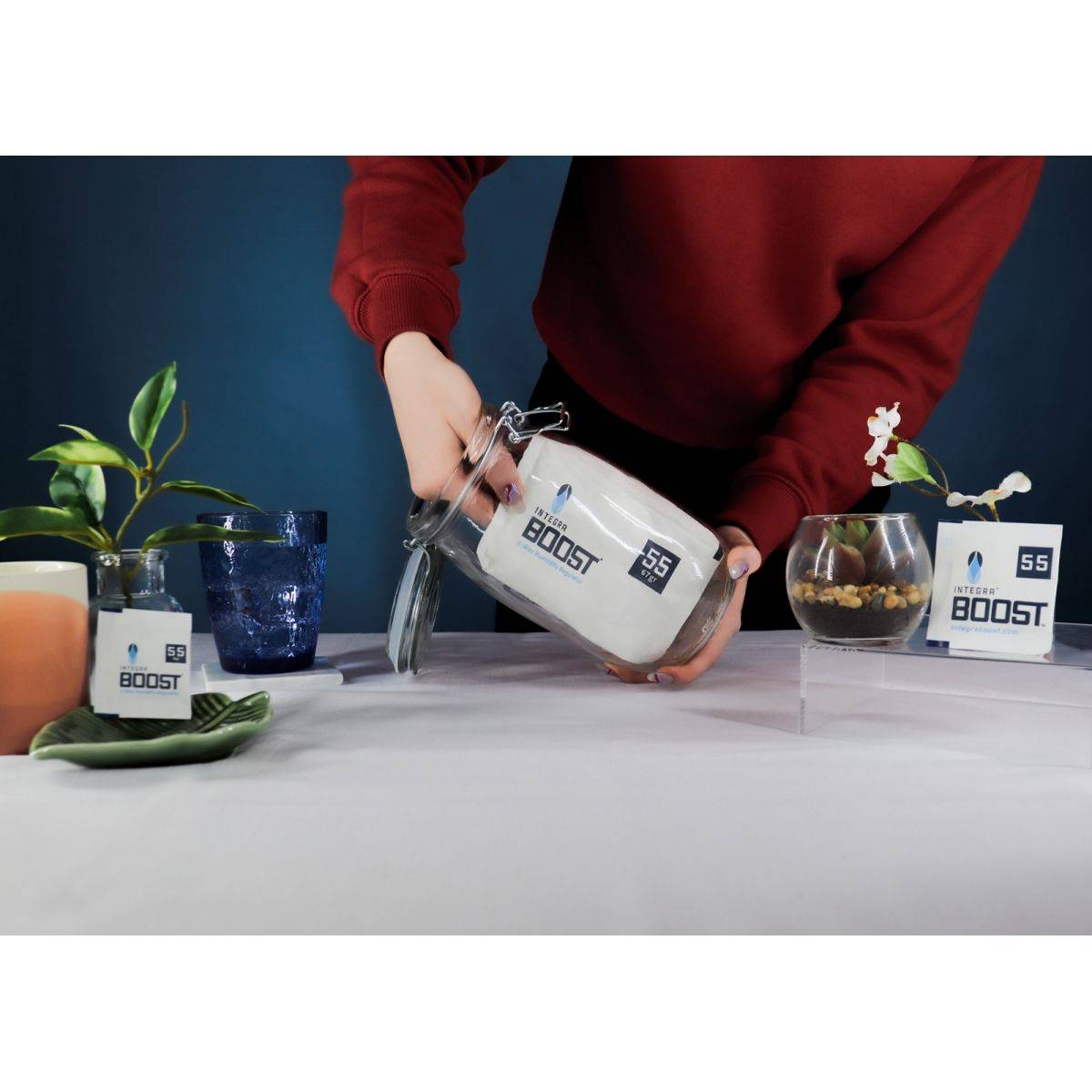 INTEGRA BOOST HUMIDITY R.H 55% - sachet de 67 grammes - Gamm vert