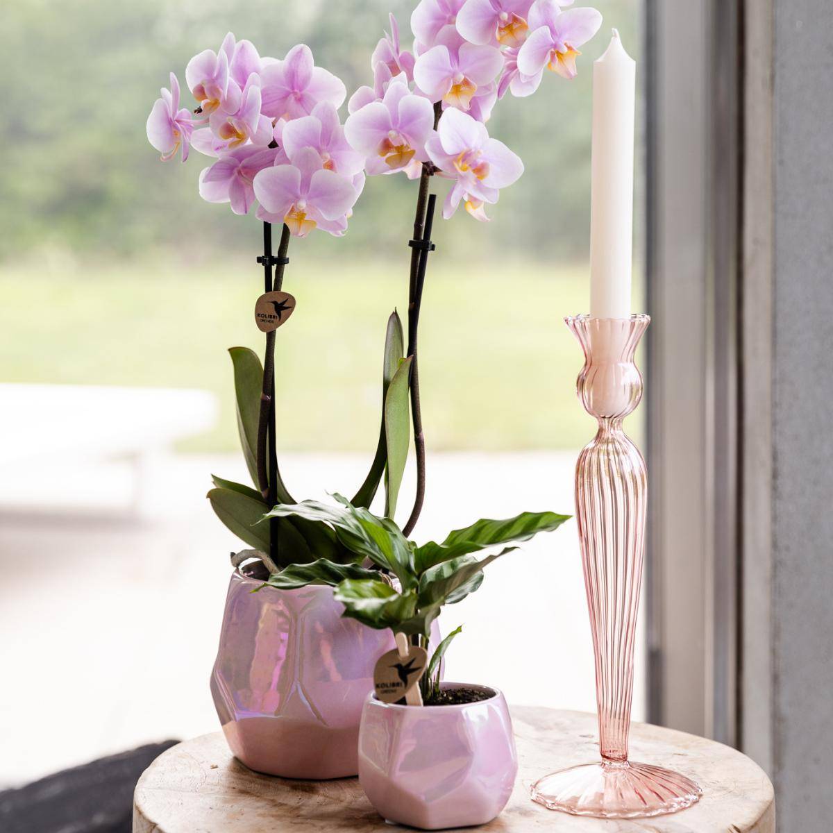 Pot Pearl Rose - Brillant Luxe- La Green Touch - Image 5