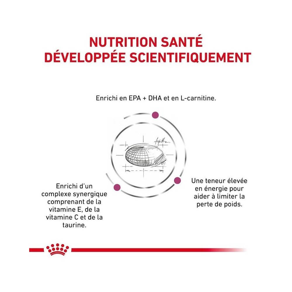 Royal Canin - Royal Canin Veterinary Diet Cardiac pour chiens - Sac de croquettes 2 kg - Image 4