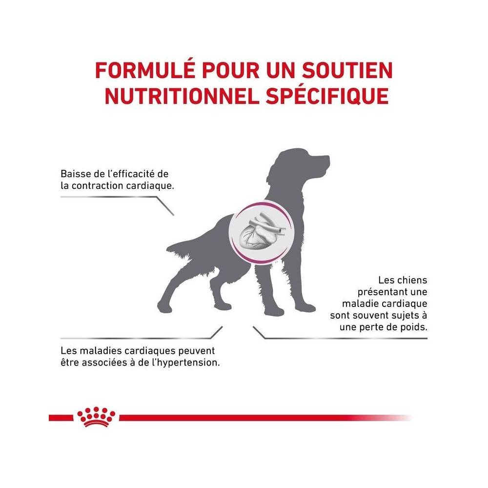 Royal Canin - Royal Canin Veterinary Diet Cardiac pour chiens - Sac de croquettes 2 kg - Image 2
