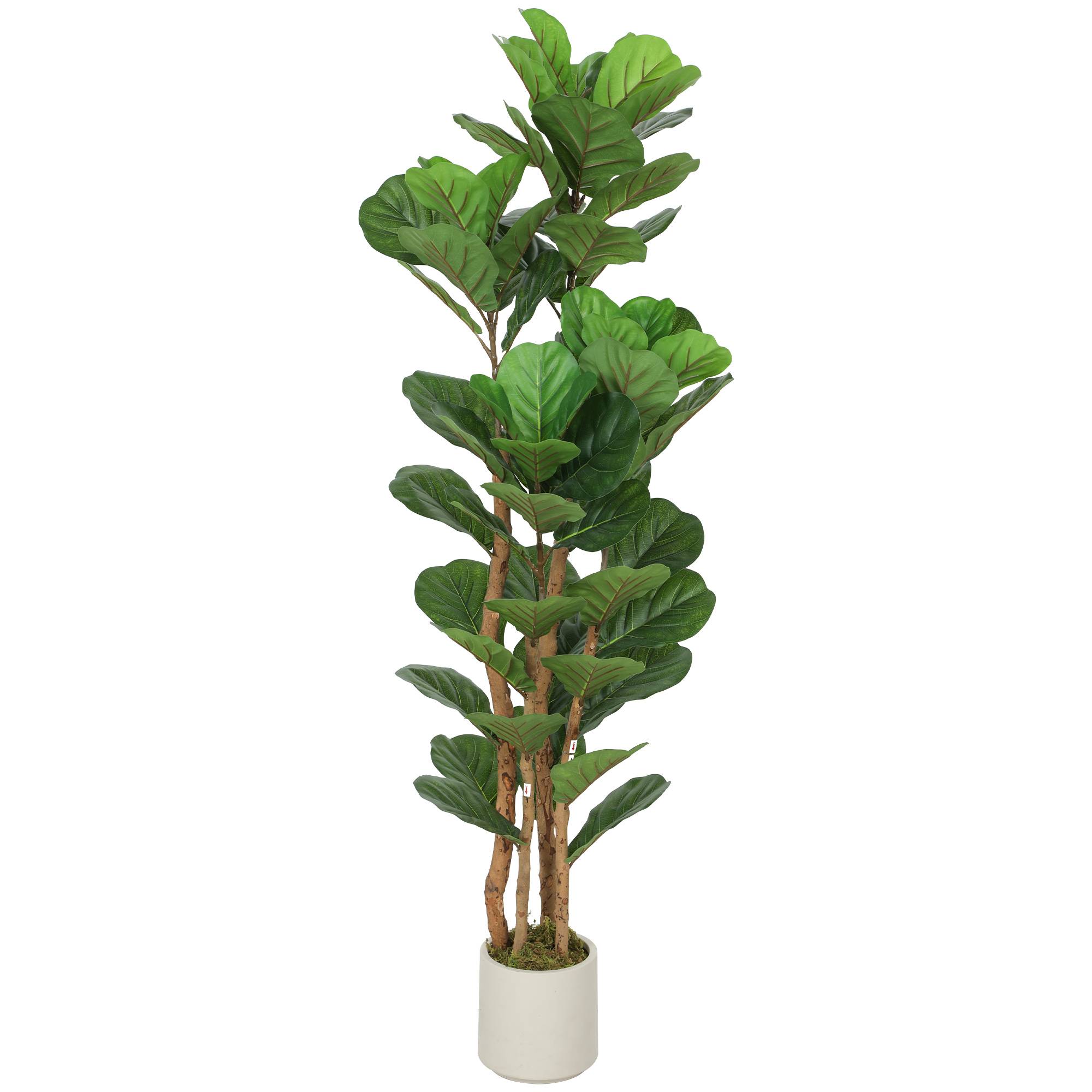 Plante artificielle intérieure 150 cm Figuier lyre arbre artificiel avec pot en plastique et tronc en bois massif - Image 2