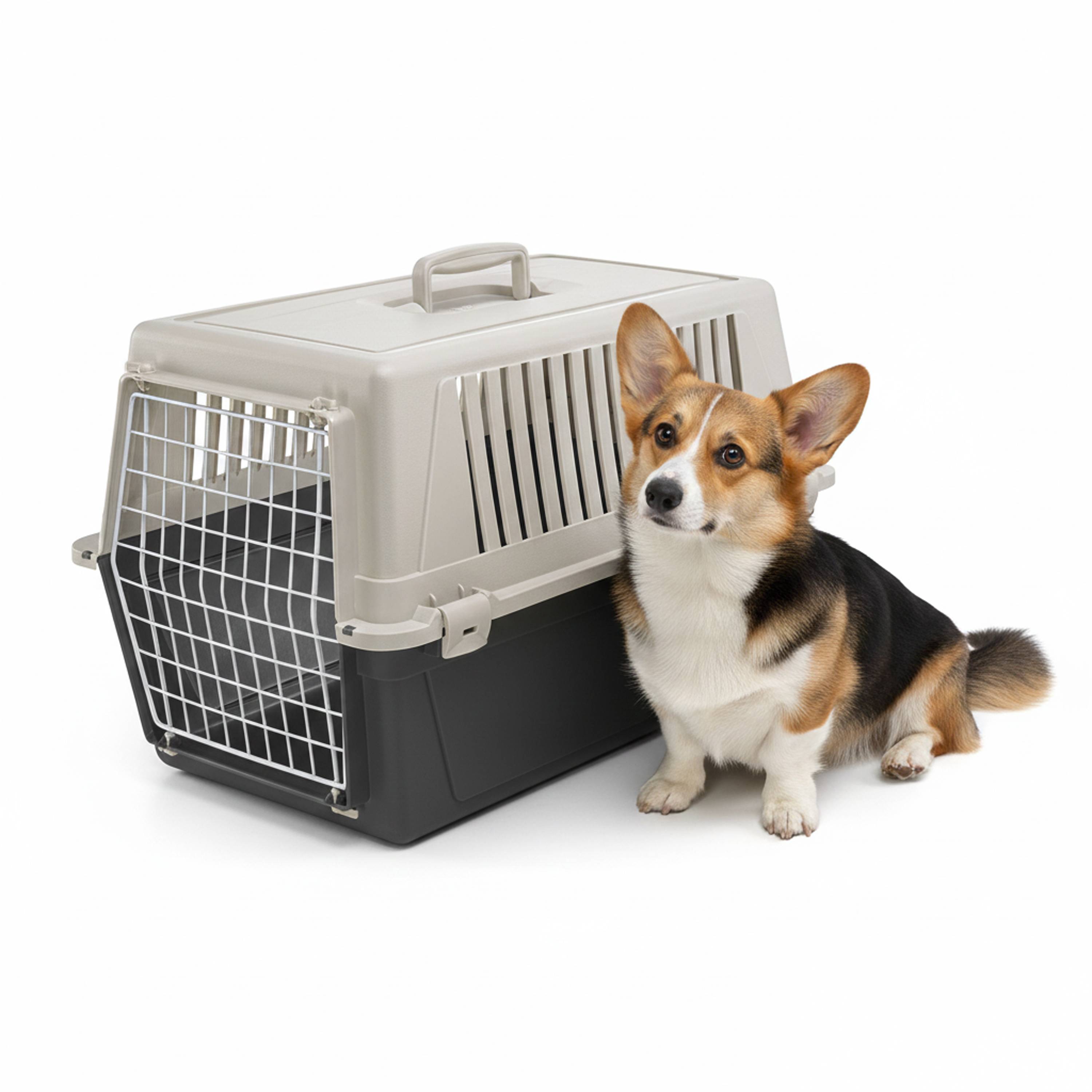 Ferplast - Ferplast Caisse de Transport Chat, Cage de Transport pour Chiens Petits Moyens et Chats jusqu'à 15 Kg, Porte en Fer Plastifié, Fentes d'aération, 40 x - Image 4