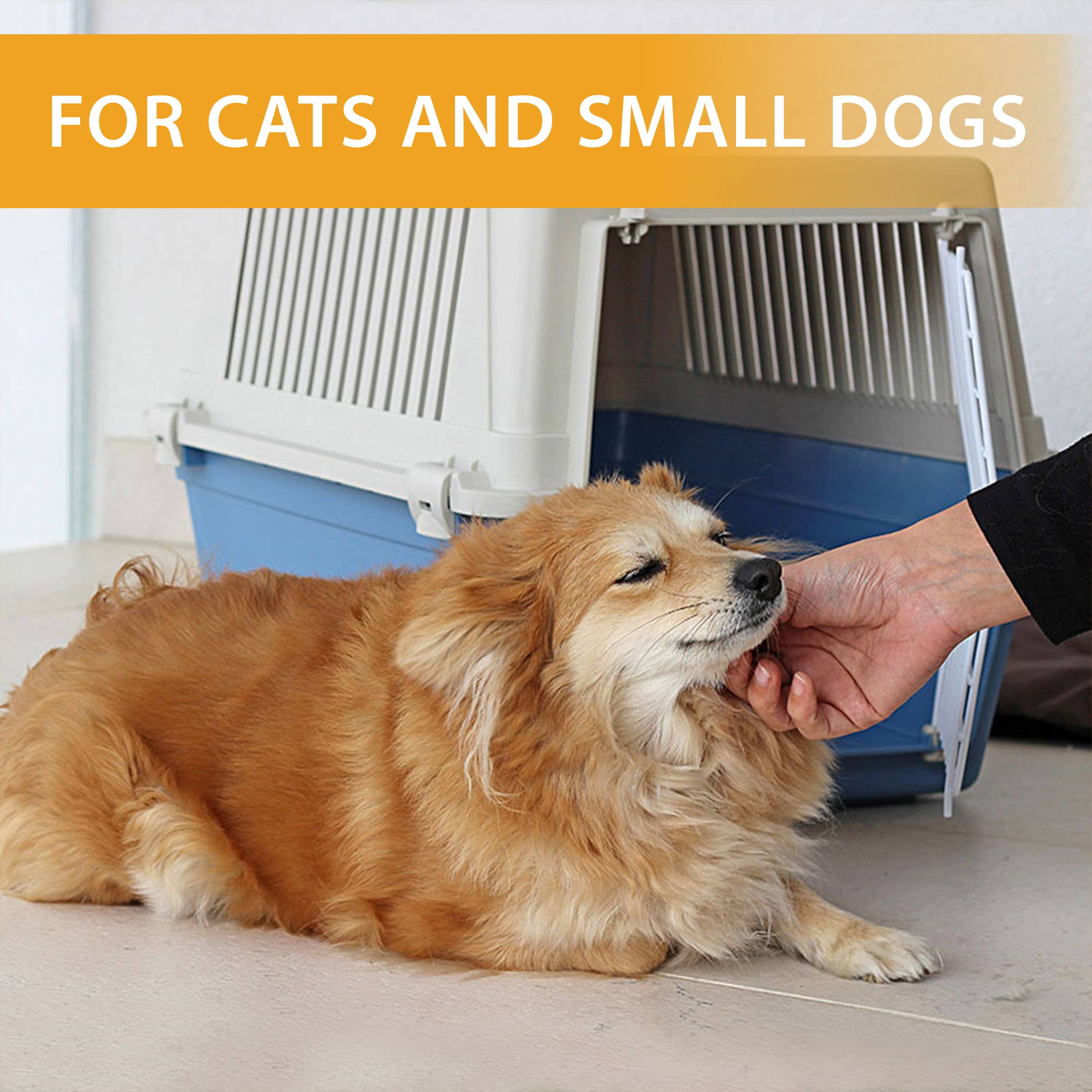Ferplast - Ferplast Caisse de Transport Chat, Cage de Transport pour Chiens Petits Moyens et Chats jusqu'à 15 Kg, Porte en Fer Plastifié, Fentes d'aération, 40 x - Image 3