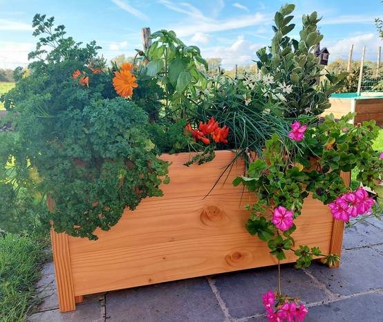 Mon Petit Potager - Bac bois Douglas Premium taille M : 40 x 83 x H41 cm - Epaisseur 19mm - mon PETIT POTAGER - Image 5