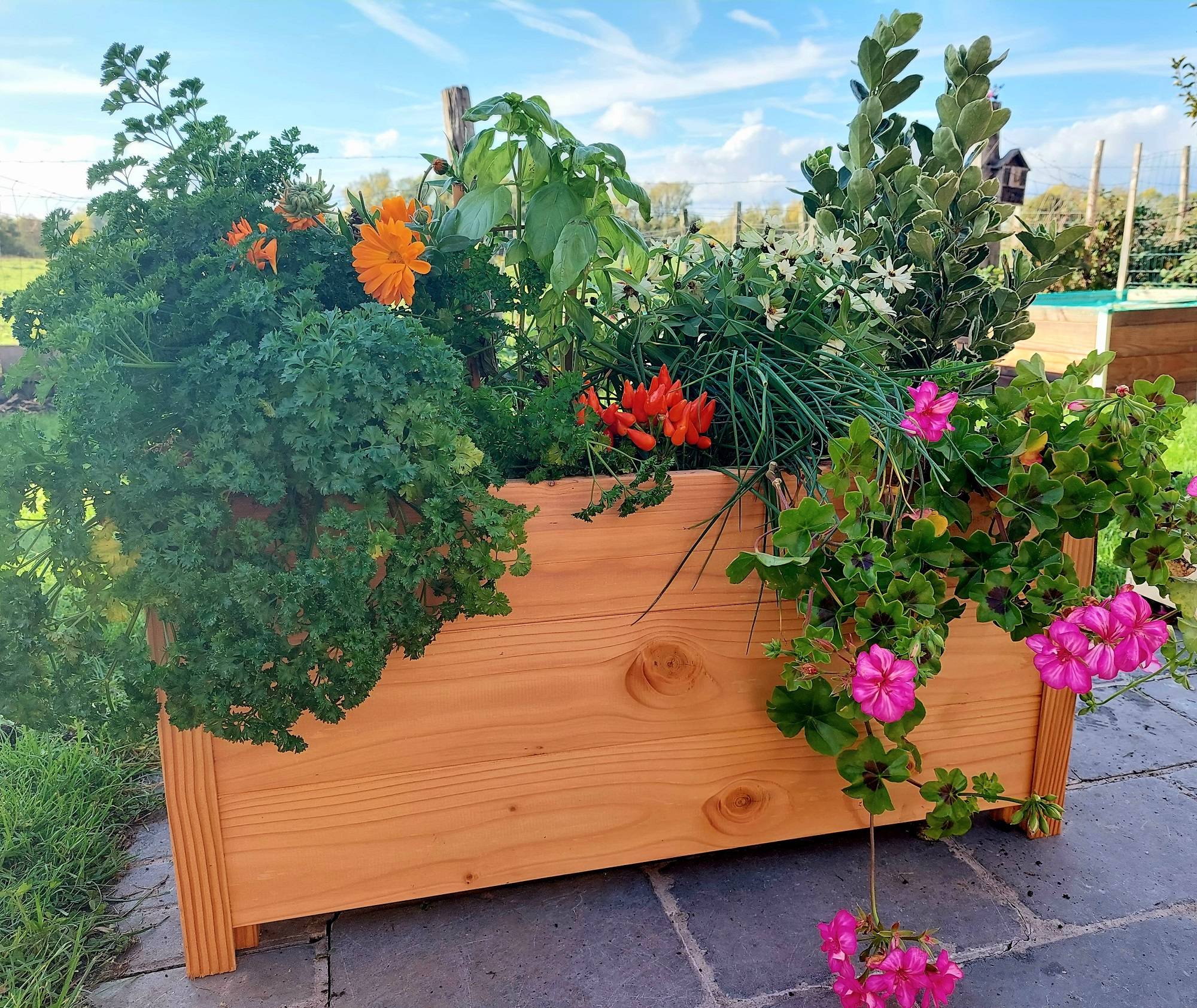 Mon Petit Potager - Bac bois Douglas Premium taille M  : 40 x 83 x H41 cm - Epaisseur 19mm - mon PETIT POTAGER - Image 5