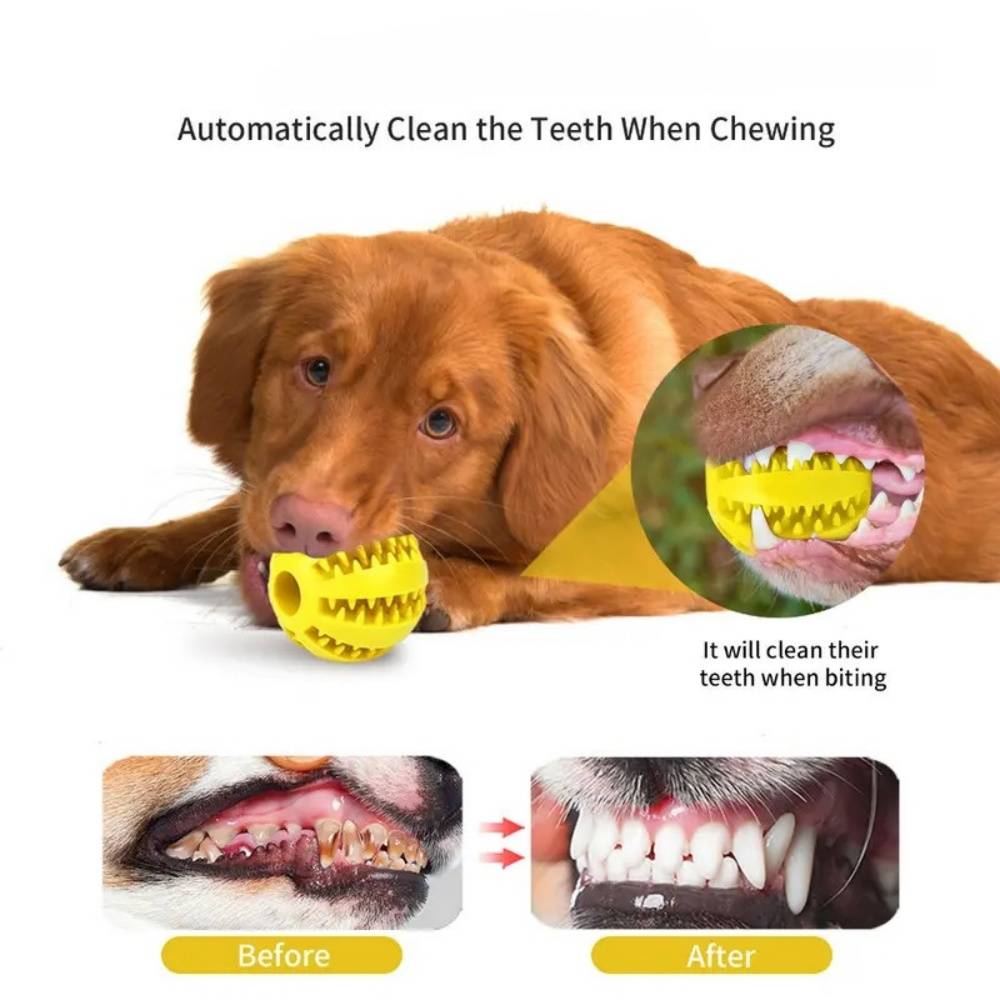 Jouet distributeur croquettes pour chien - 2 boules interactives - Stimulation mentale - Indestructible - Living123 - Image 4