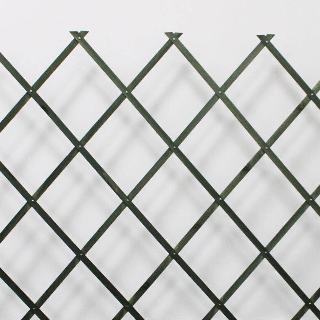 Treillis Bois| Vert| 100% Bois Pin| 1X2M| Gardien Des Plantes| Résistant| Decoration Jardin - Image 1