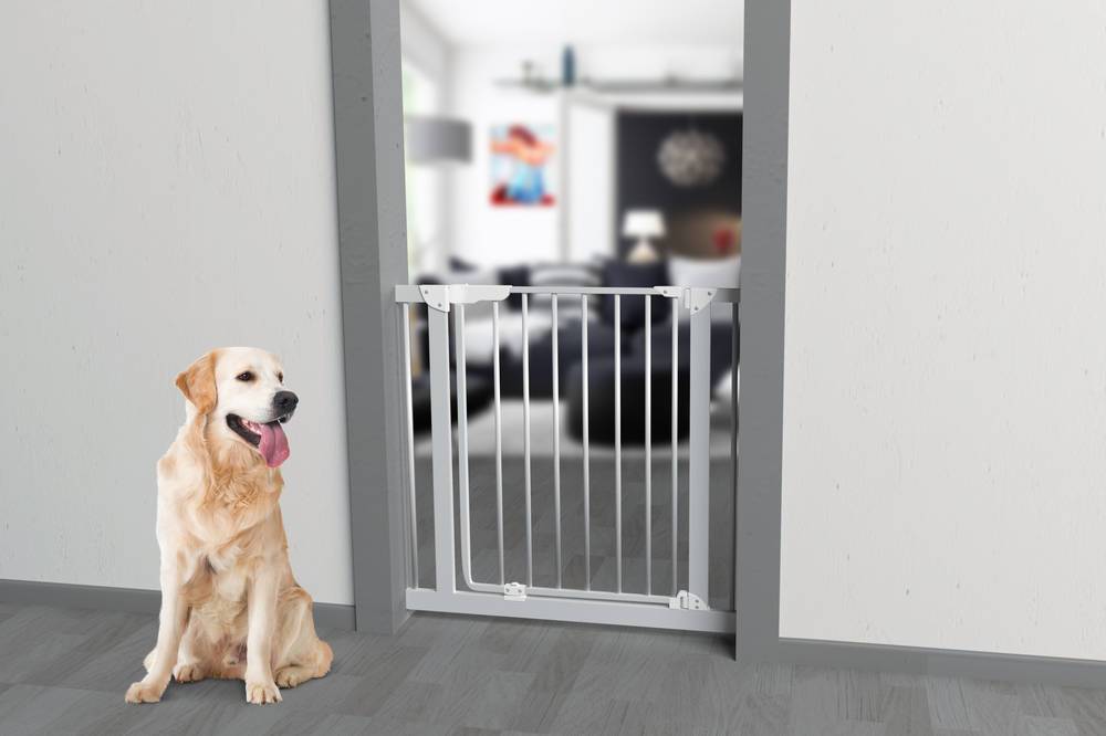 Nordlinger - NORDLINGER PRO Barrière en métal Misty - Pour chien - Image 3