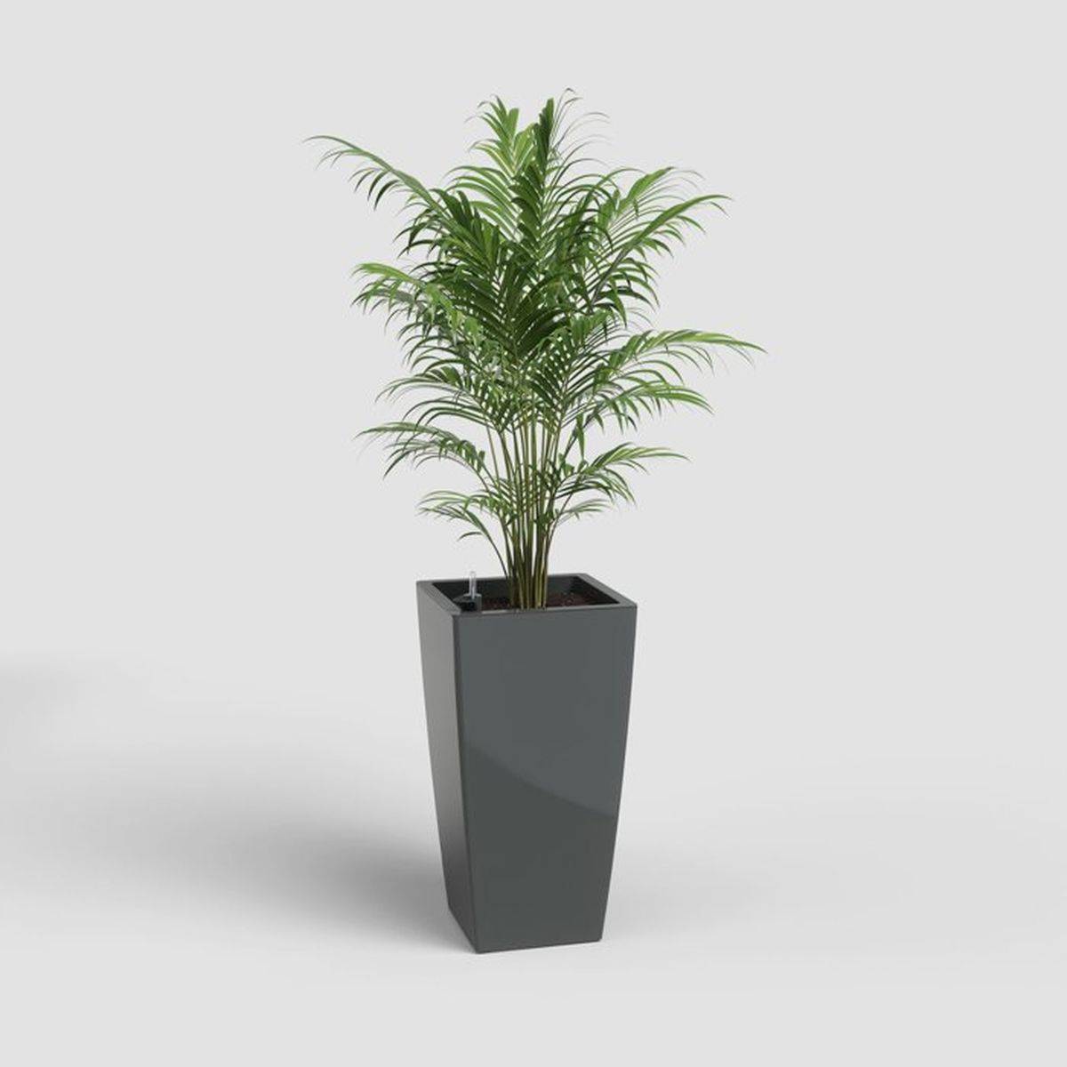 Cache-pot carré auto-arrosant Pisa anthracite brillant 40 x 40 x 78 cm - Artevasi - Image 2