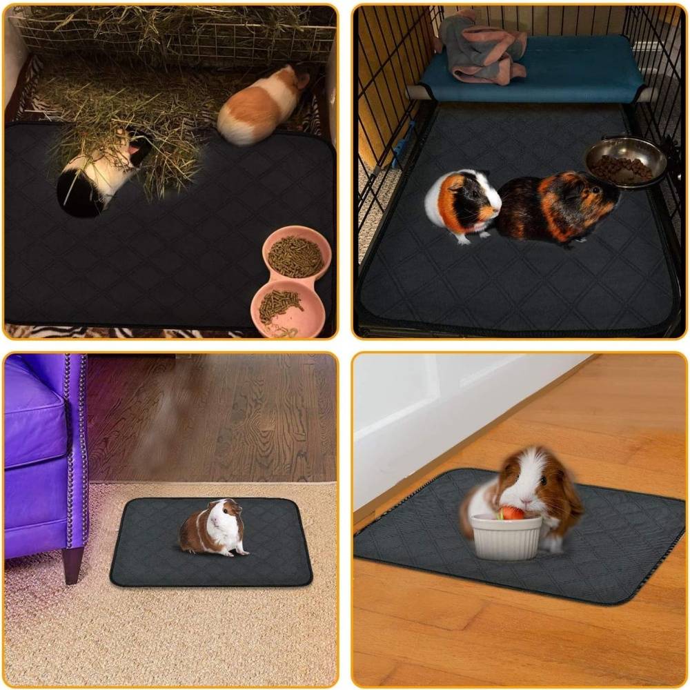 DtopbuyAge - Tapis pour Cochon d'Inde Lapin Nain Chinchilla Hérisson DtopbuyAge - Image 4