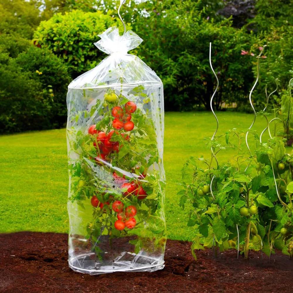 Autre - Housse pour tomates 2 pièces - Image 4