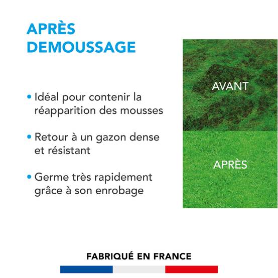 Soin Après Démoussage - Limite Réapparition Mousses - Gazon Dense et Résistant - Germe Très Rapidement - Semences avec Enrobage - 3KG - BARENBRUG - Image 2