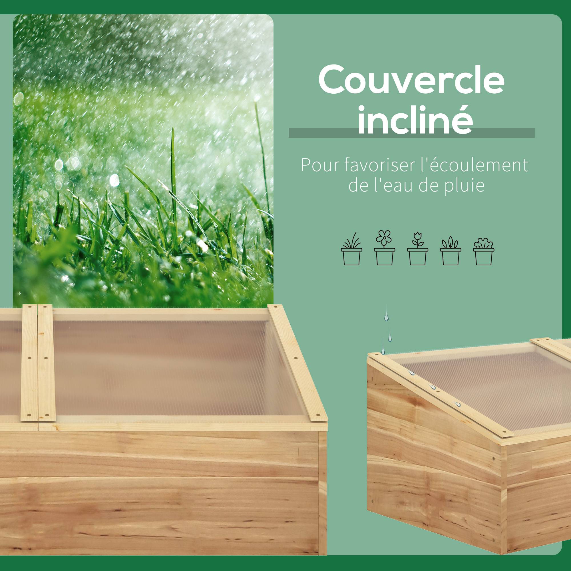 Mini Serre pour Semis 100 x 50 x 36 cm, Polycarbonate, Cadre en Bois de Sapin Pré-huilé, Toit Ouvrant - Image 5