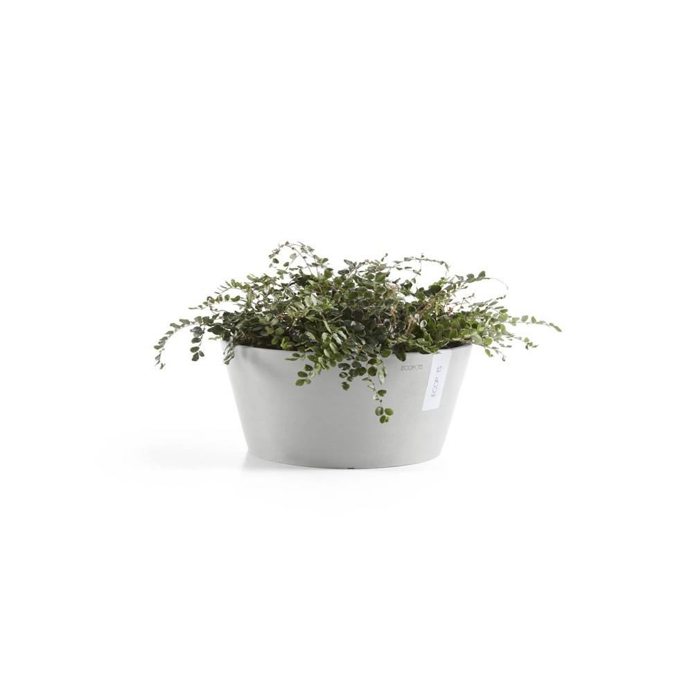 Ecopots - Pot Rond Frankfurt 30 Blanc Gris - Ø 30,5 x H. 15 cm - 8 L ECOPOTS - Image 2