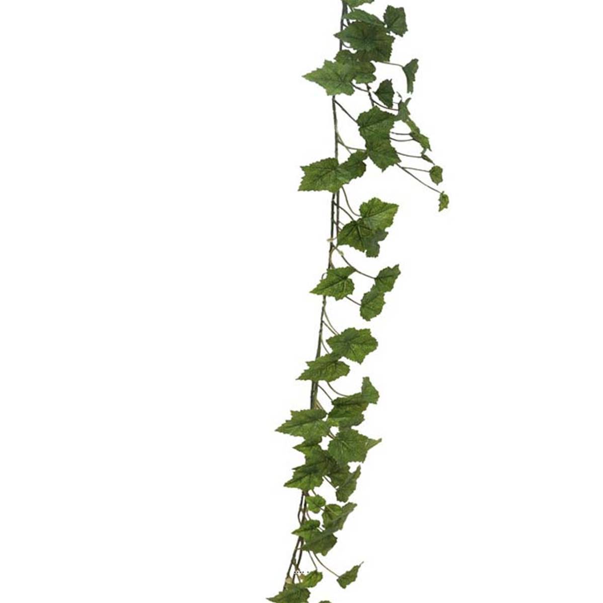 Artificielles - Guirlande de vigne artificielle 180cm de long feuilles vertes - Image 1