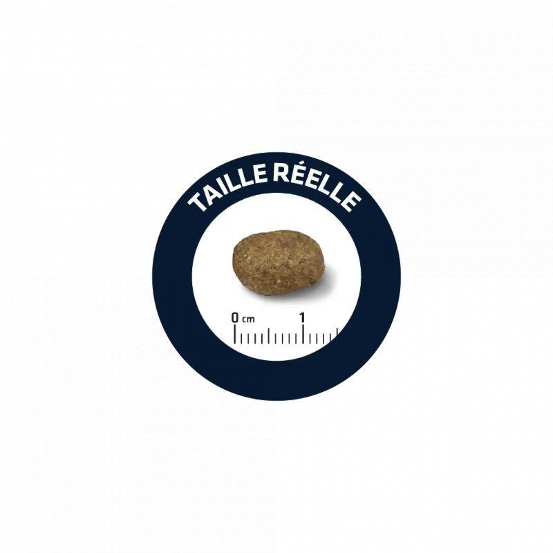 CROQUETTES CHIEN SENSITIVE AGNEAU RIZ - ADVANCE 12 kg - Image 2