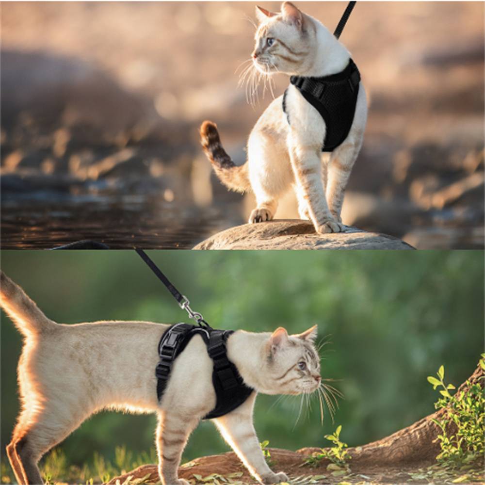 Lytech - Harnais et Laisse pour Chat Taille XS - Sécurité Anti-Fuite et Confort Respirant - Lytech - Image 3