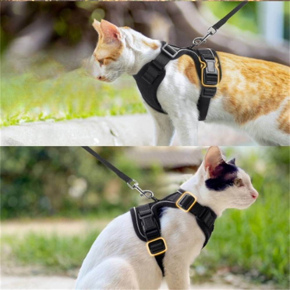 Lytech - Harnais et Laisse pour Chat Taille XS - Sécurité Anti-Fuite et Confort Respirant - Lytech - Image 4