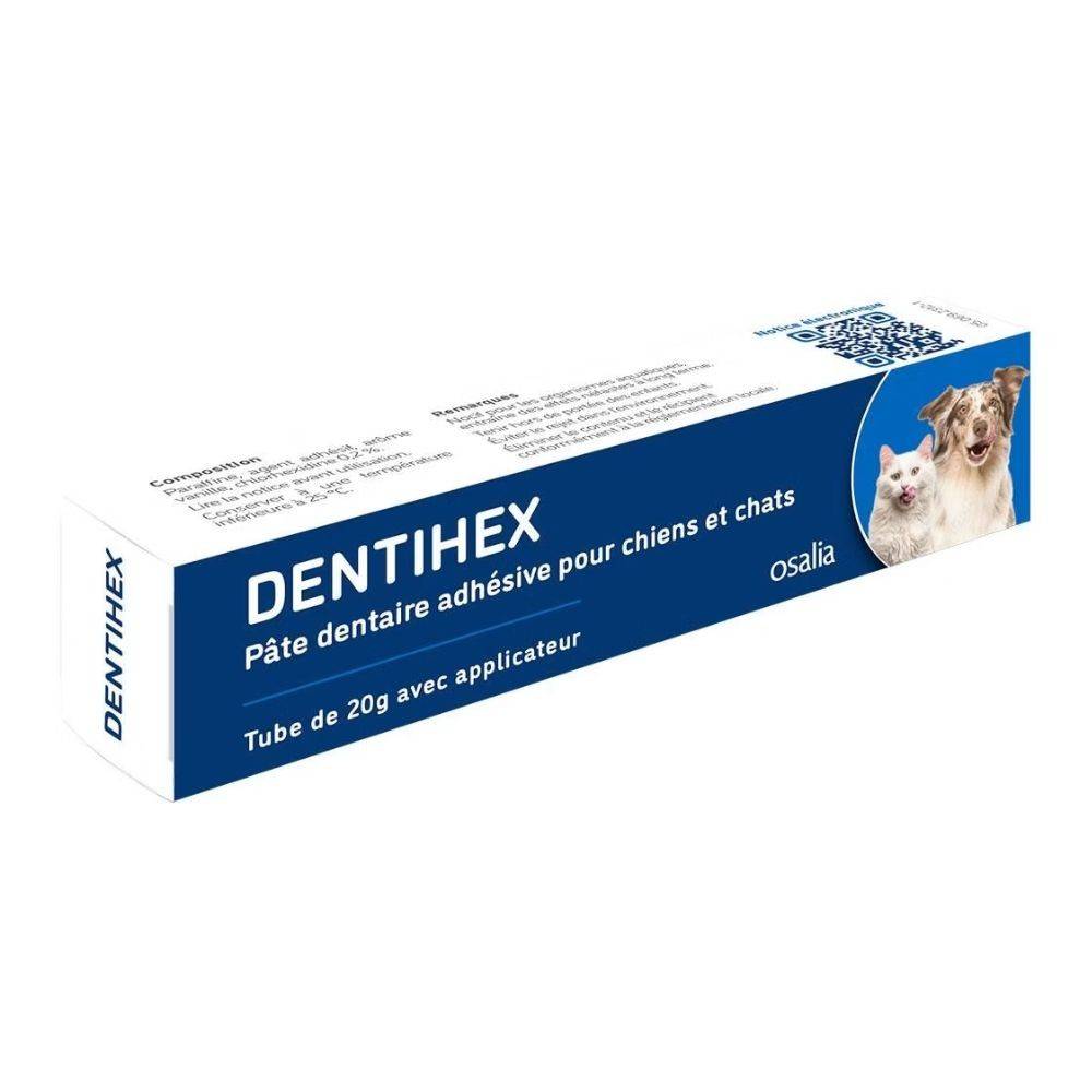 Dentihex Avec Applicateur 60 - Image 1