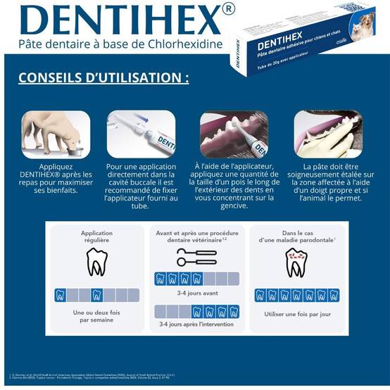 Dentihex Avec Applicateur 60 - Image 4