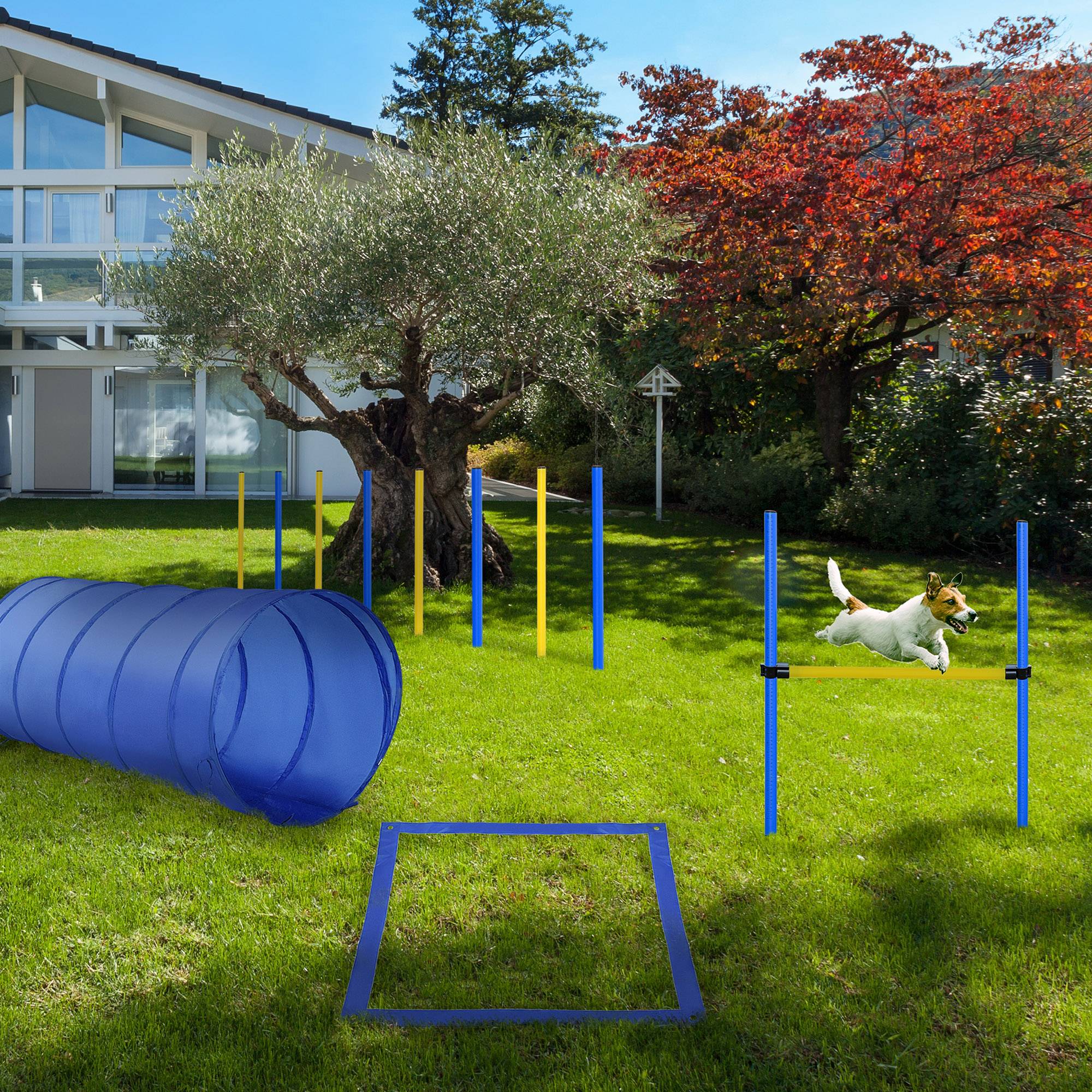 ComfortXL - Parcours agilité chien en plastique jaune et bleu 4 pièces avec tunnel et haie - ComfortXL Outdoor Living - Image 4