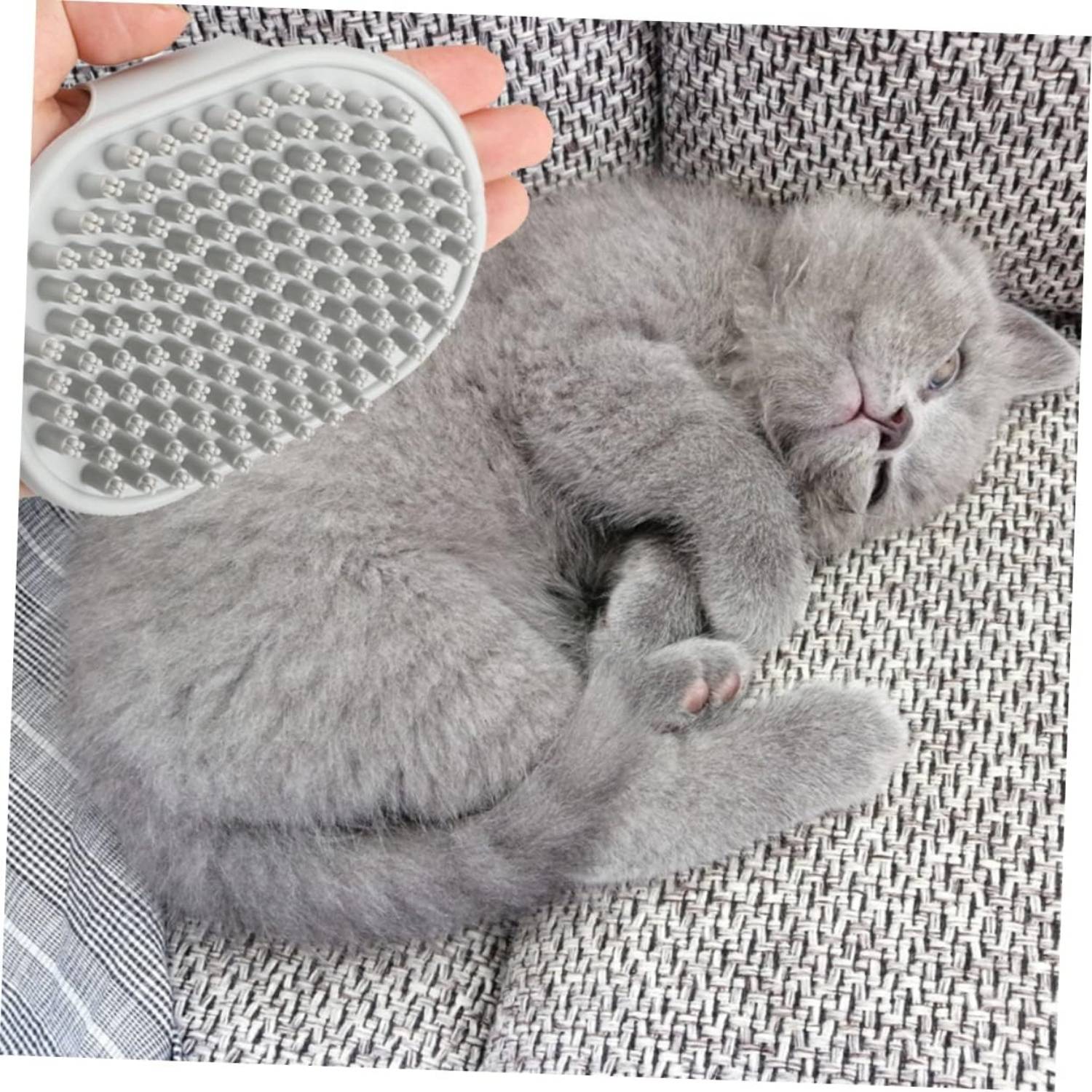 DtopbuyAge - Brosse de Toilettage Ergonomique pour Chien et Chat DtopbuyAge - Image 2