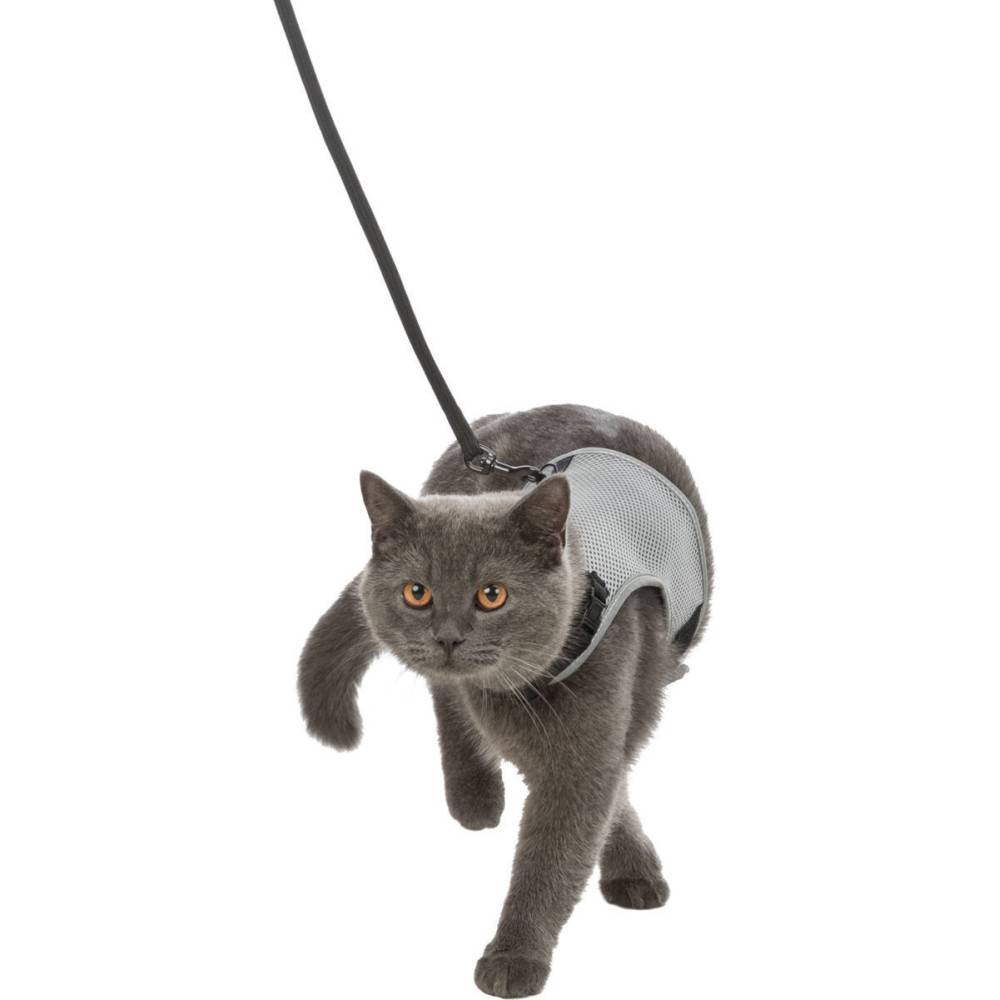 Trixie - Trixie - Harnais soft avec laisse de 1,20m Tour de ventre: 24-42 cm Couleurs aléatoires pour chat - Image 3