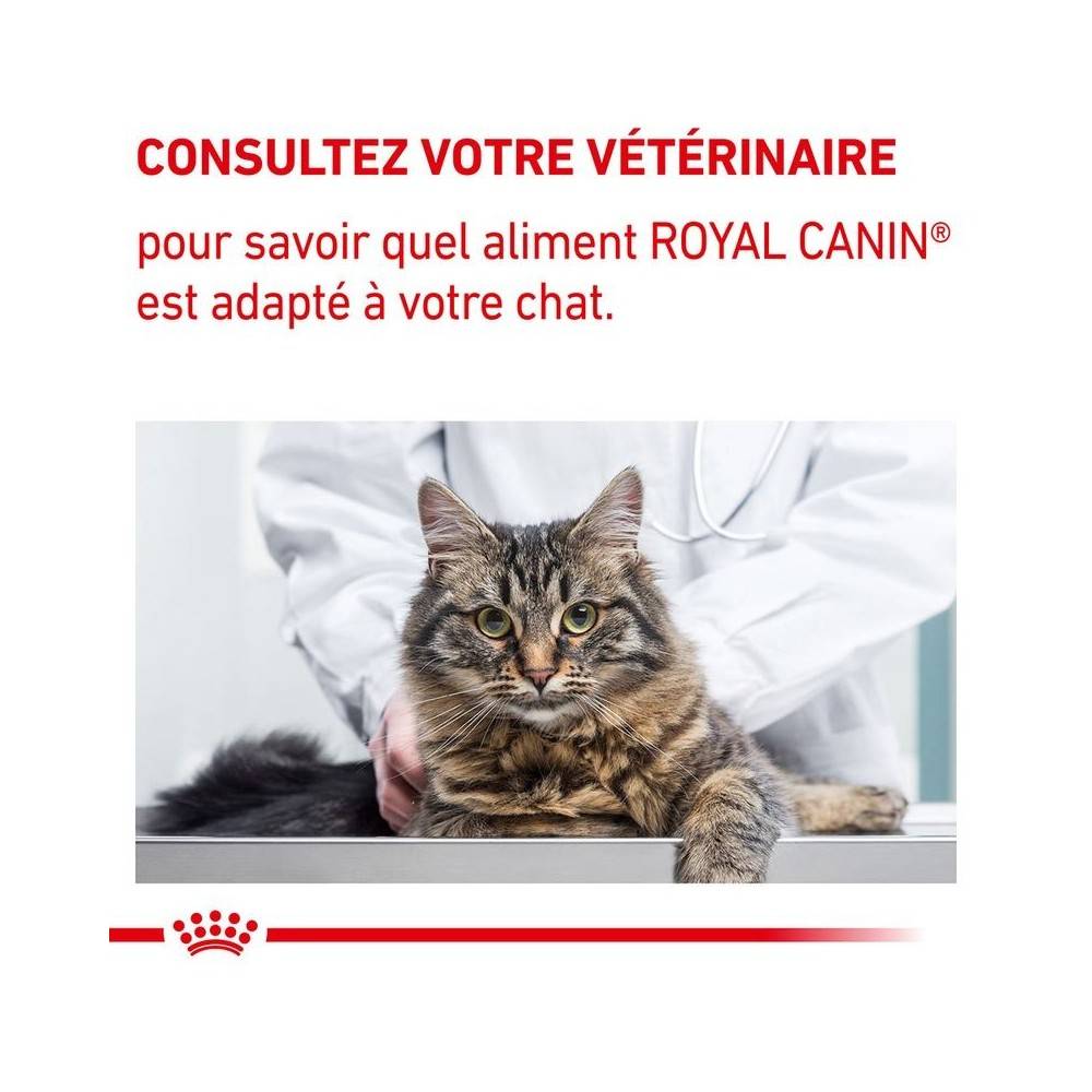 Royal Canin - Croquettes chat VETERINARY CAT NEUTERED SATIETY BALANCE - Royal Canin 12 kg - Image 7