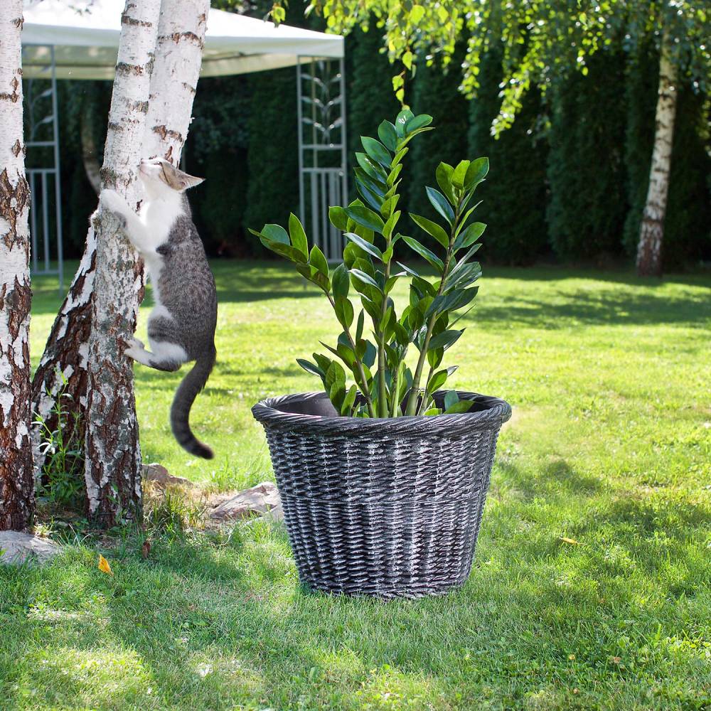 Roto - Jardinière en polyéthylène Bambus Ronde 45 x 34 cm - Image 2