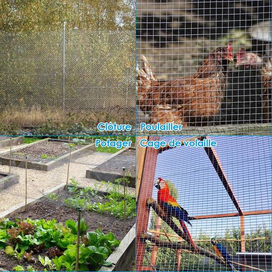 Grillage à Poule 7mm en Fer Galavanisé 0,9x15M Grillage pour Plantes et Animaux Argent - Image 4