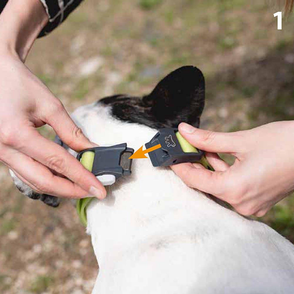 Ferplast - Collier Réfléchissant pour Chiens CLUB REFLEX C15/44 en Nylon avec Boucle Magnétique, idéal pour les promenades en soirée - Image 3