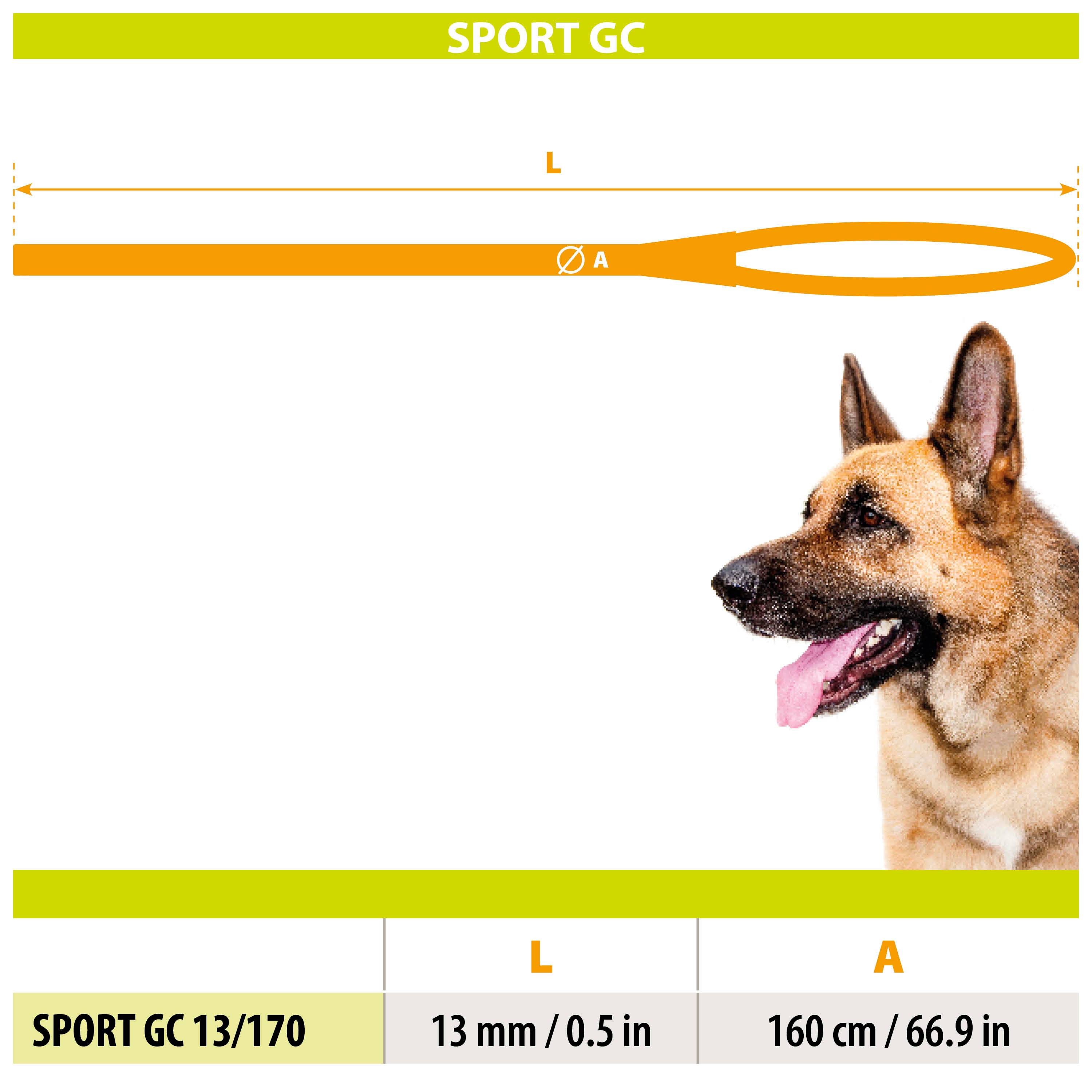 Ferplast - Ferplast Laisse et Collier pour Chien SPORT REFLEX, Laisse réfléchissante avec Collier semi etrangleur Ajustable, en cordon en nylon, Laisse avec - Image 2