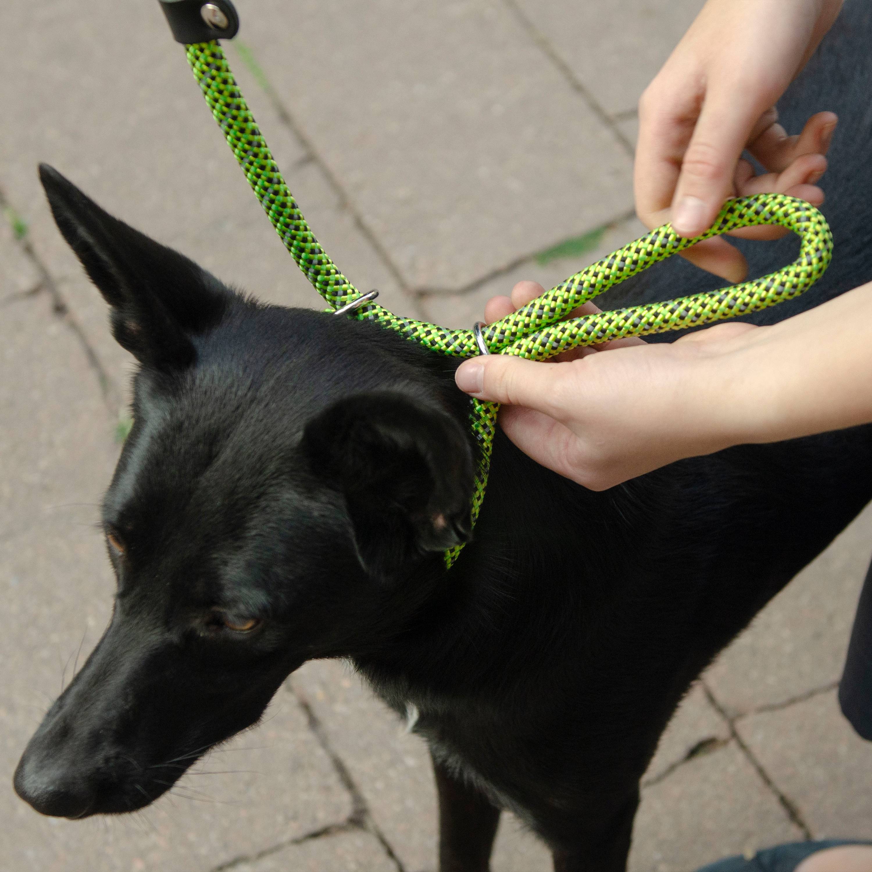 Ferplast - Ferplast Laisse et Collier pour Chien SPORT REFLEX, Laisse réfléchissante avec Collier semi etrangleur Ajustable, en cordon en nylon, Laisse avec - Image 3