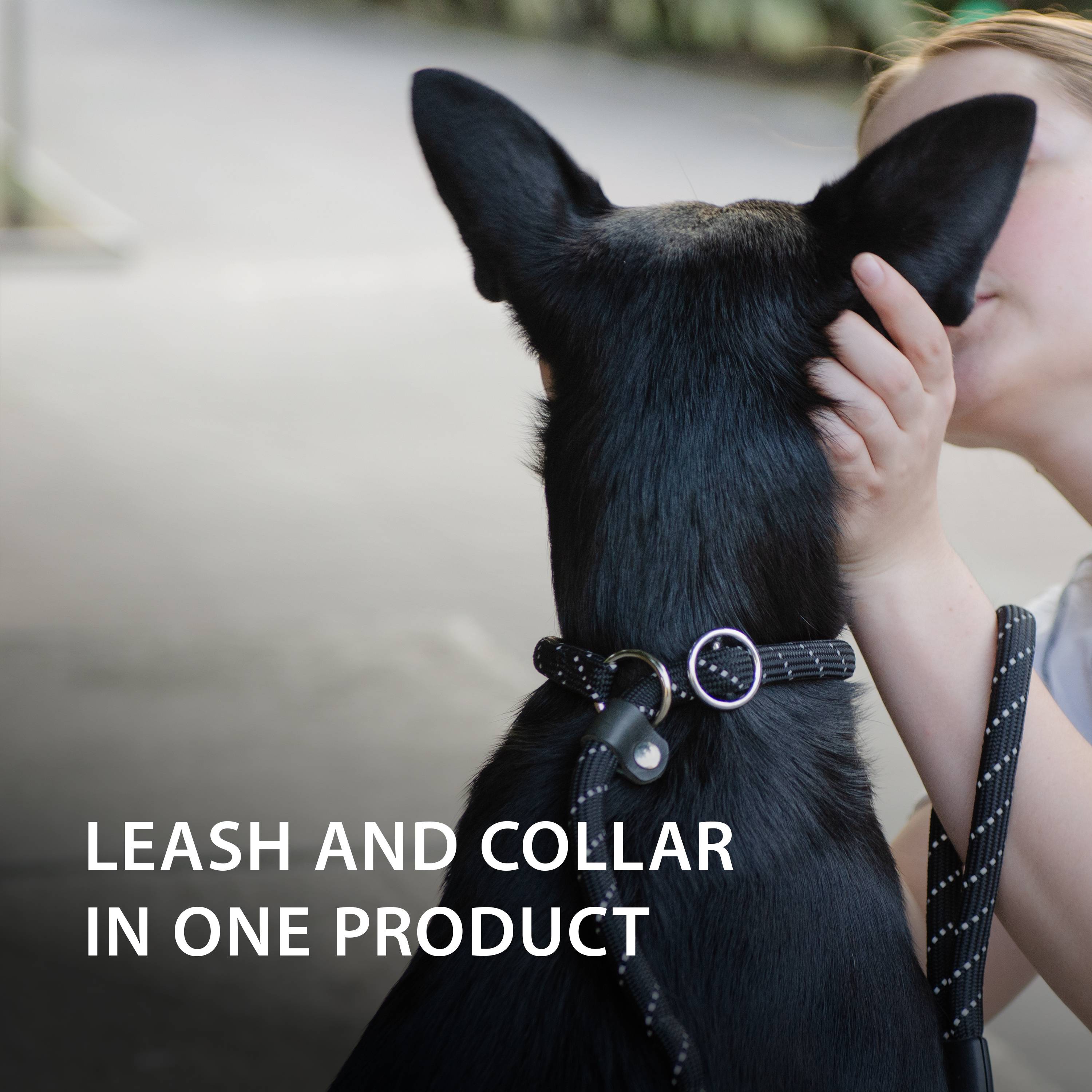 Ferplast - Ferplast Laisse et Collier pour Chien SPORT REFLEX, Laisse réfléchissante avec Collier semi etrangleur Ajustable, en cordon en nylon, Laisse avec - Image 8