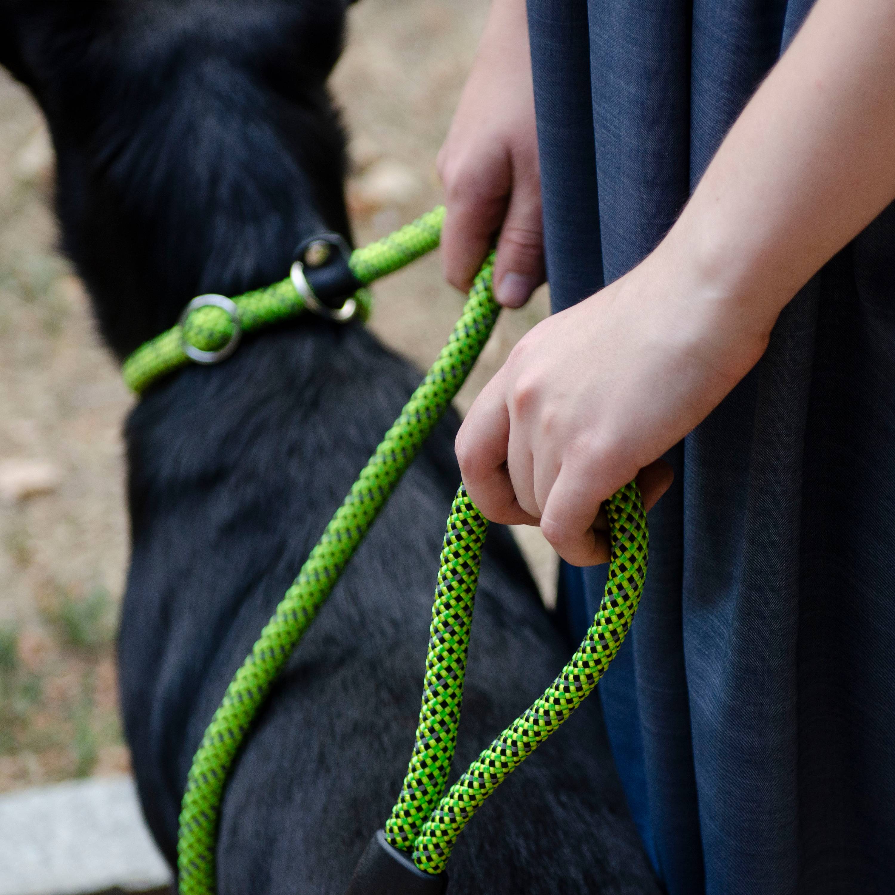 Ferplast - Ferplast Laisse et Collier pour Chien SPORT REFLEX, Laisse réfléchissante avec Collier semi etrangleur Ajustable, en cordon en nylon, Laisse avec - Image 7