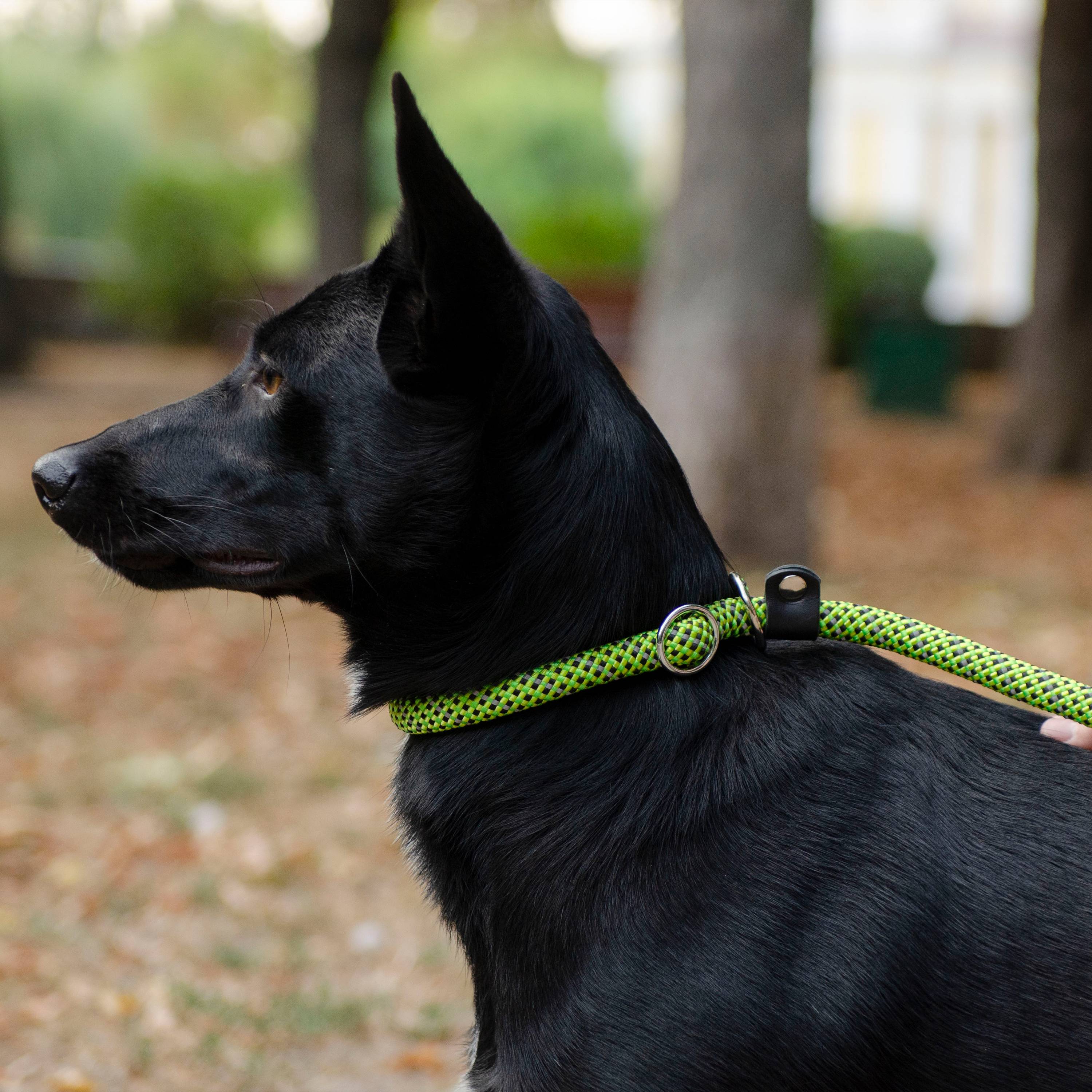 Ferplast - Ferplast Laisse et Collier pour Chien SPORT REFLEX, Laisse réfléchissante avec Collier semi etrangleur Ajustable, en cordon en nylon, Laisse avec - Image 5