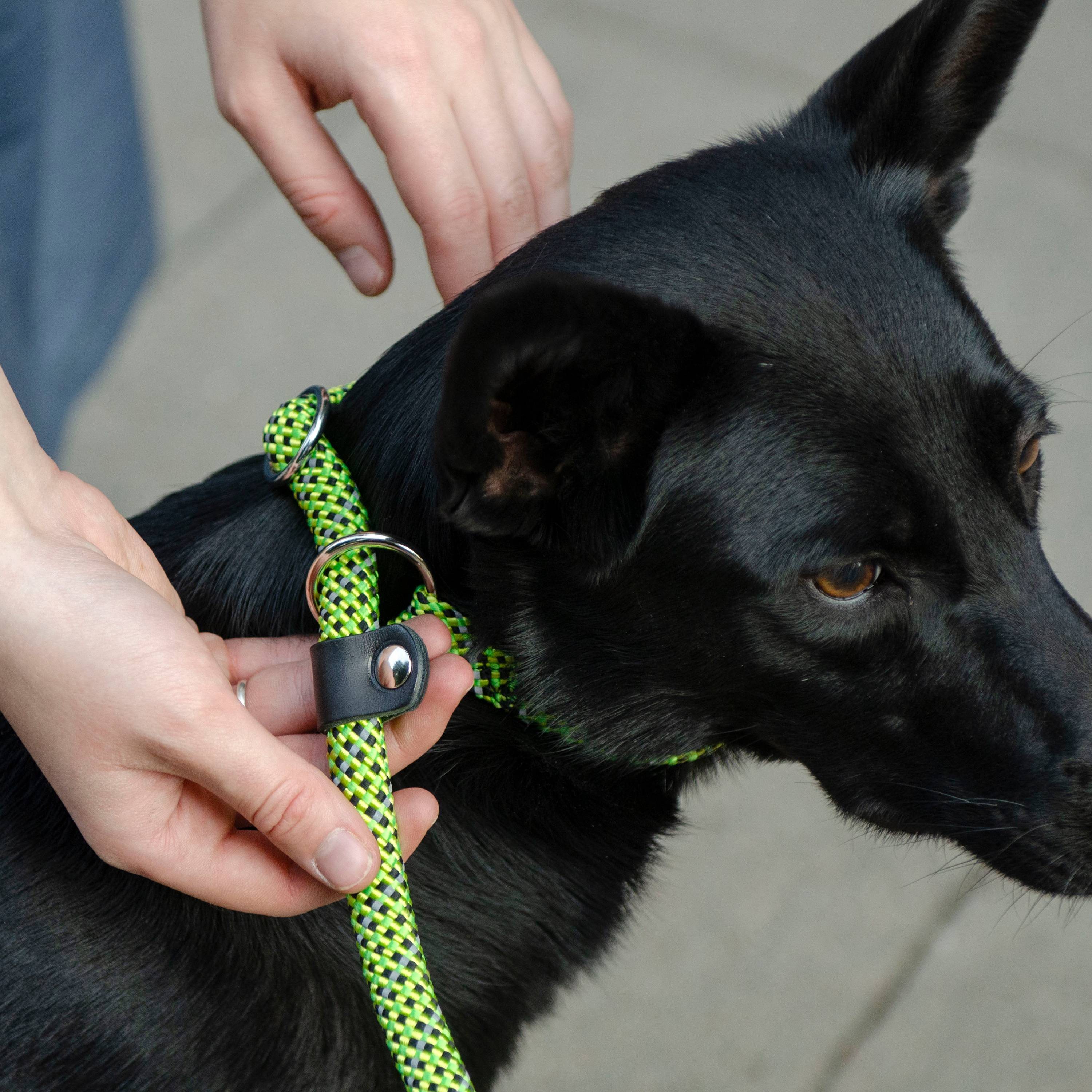 Ferplast - Ferplast Laisse et Collier pour Chien SPORT REFLEX, Laisse réfléchissante avec Collier semi etrangleur Ajustable, en cordon en nylon, Laisse avec - Image 4