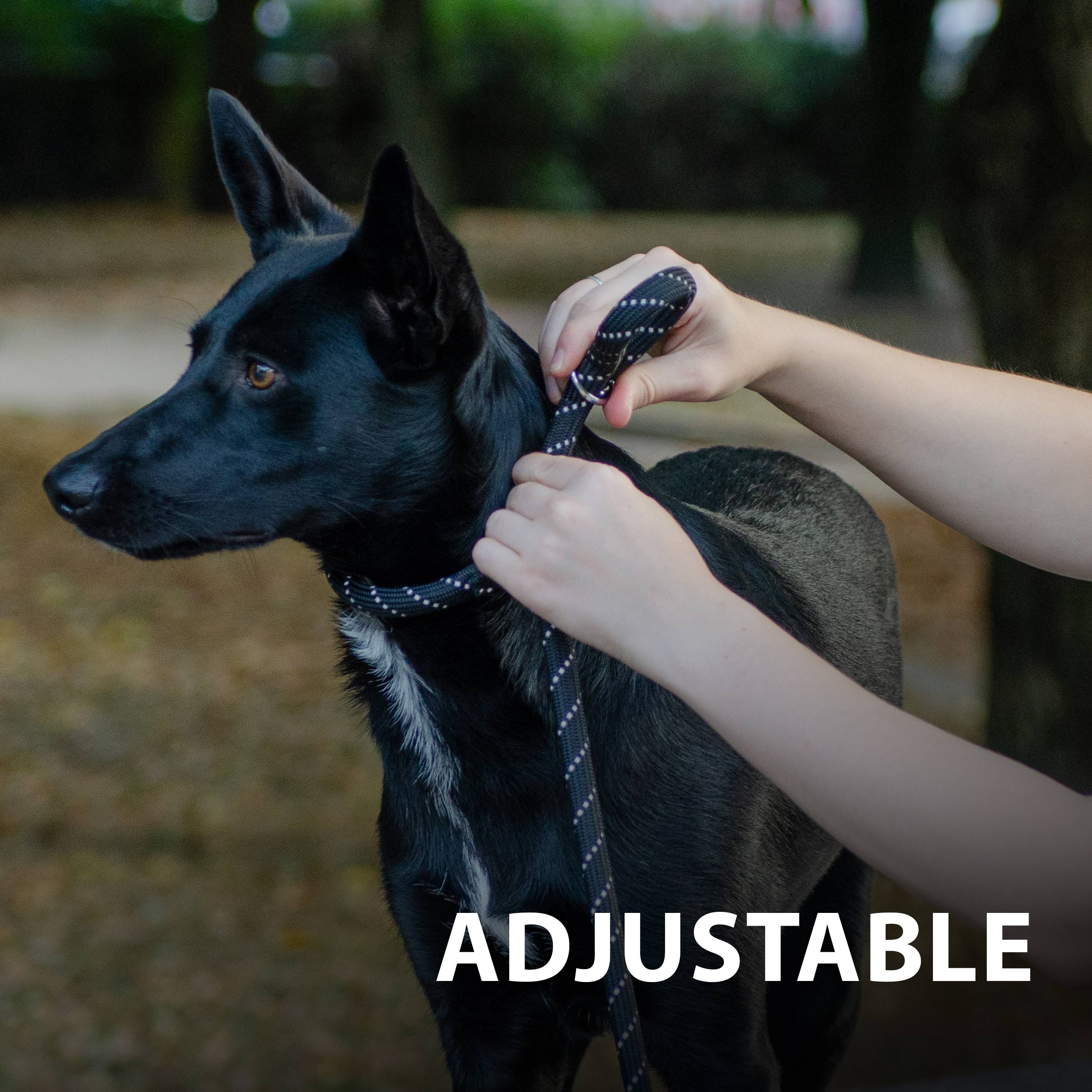 Ferplast - Ferplast Laisse et Collier pour Chien SPORT REFLEX, Laisse réfléchissante avec Collier semi etrangleur Ajustable, en cordon en nylon, Laisse avec - Image 9