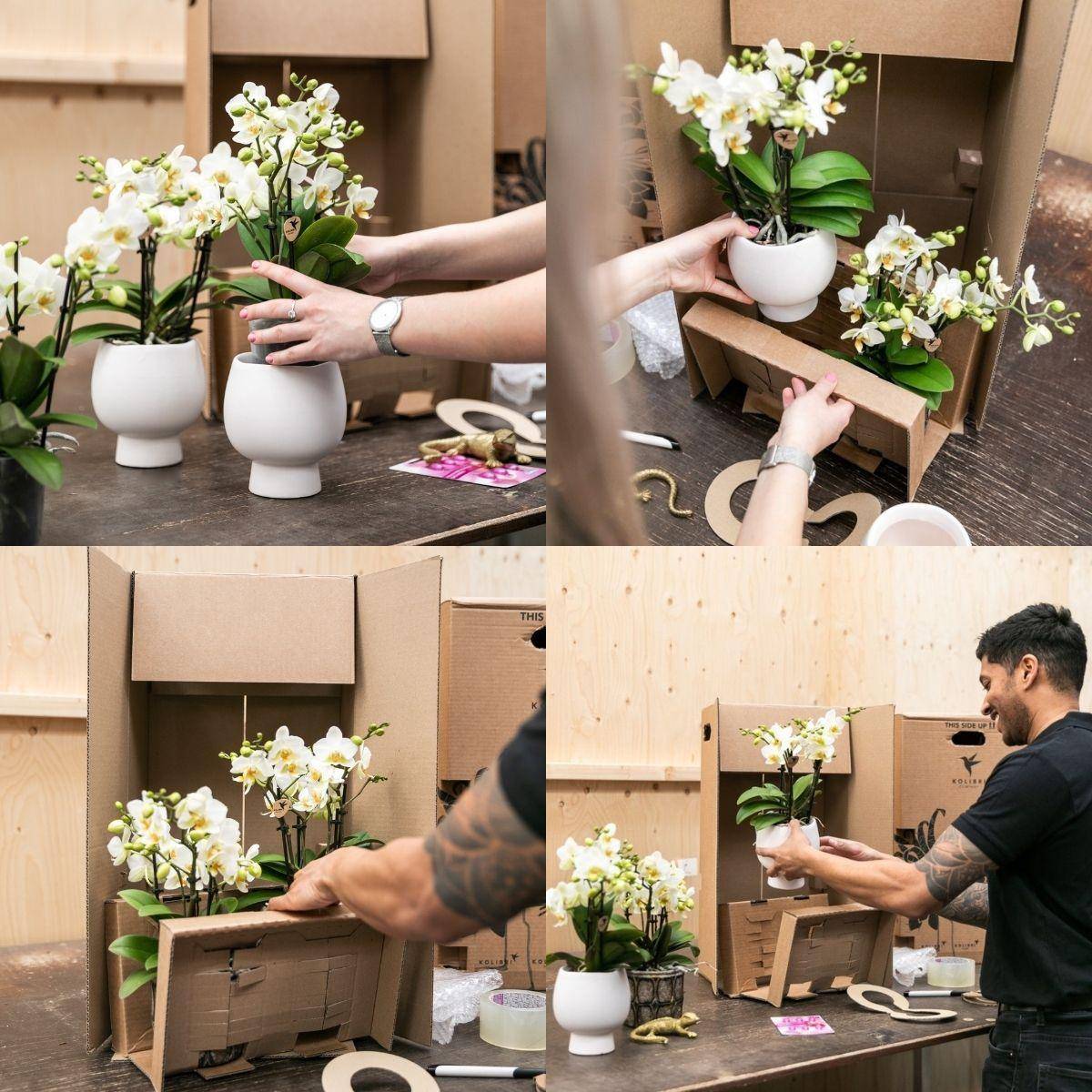 La Green Touch - Panier de coton avec 3 orchidées roses et 3 Rhipsalis- La Green Touch - Image 5