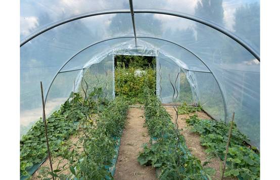 Serre tunnel de jardin - 24m² - 4 x 6 m - Abri Légumes - pieds arrondis - polyéthylène haute densité - 2 portes pivotantes - LES SERRES TONNEAU - Image 3