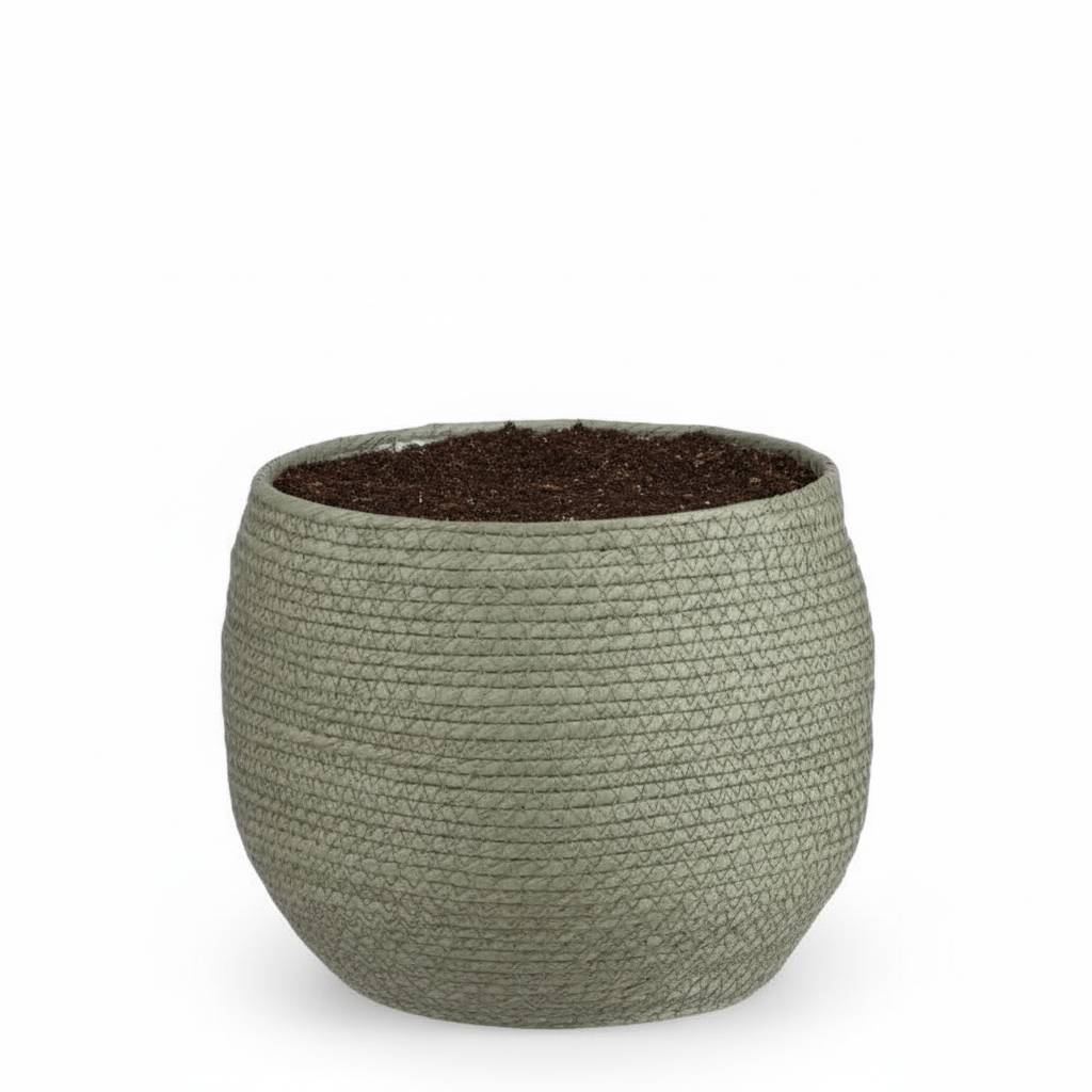 Cache-pot panier vert - D.26cm