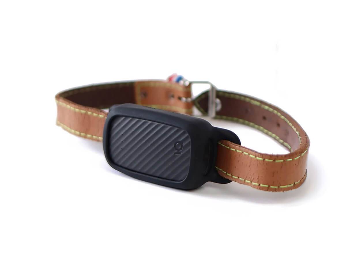 Collier GPS pour chien sans abonnement - Noir / Charbon / Sans Smartdock - Image 1
