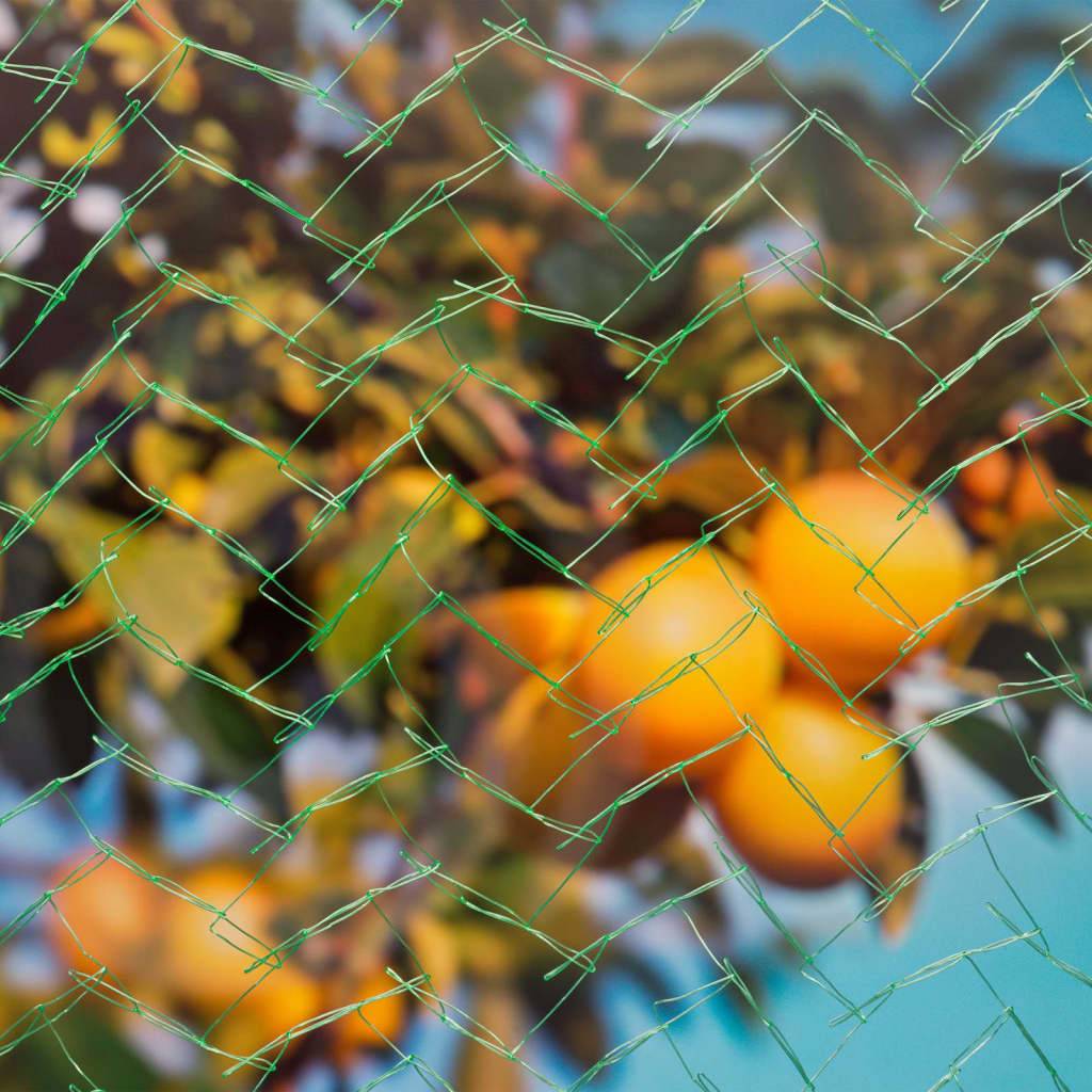 Autre - Nature Filet anti-oiseaux Mono 8x8 m vert - Image 1